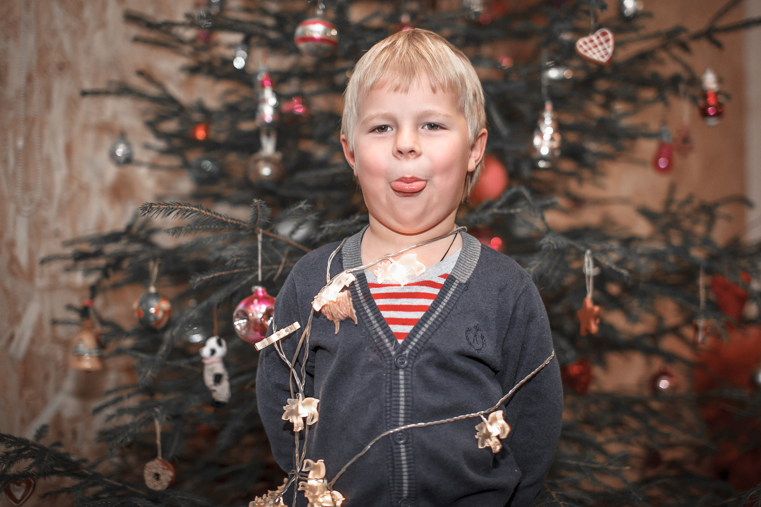 Рождество и 2 брата. Ирина Носова - семейный и детский фотограф