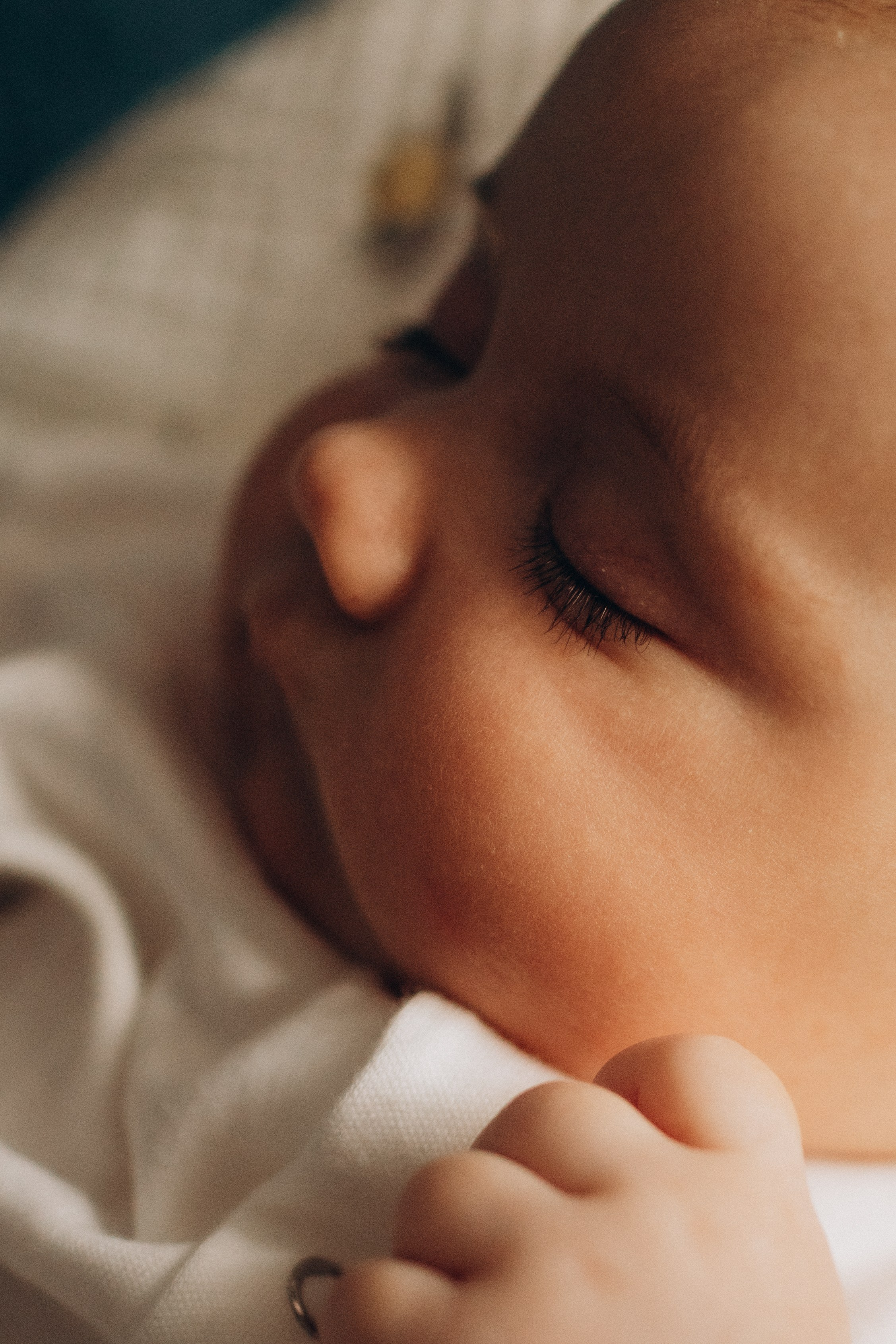 Семья Смирновых. Семейный фотограф в Челябинске Ксения Зубкова