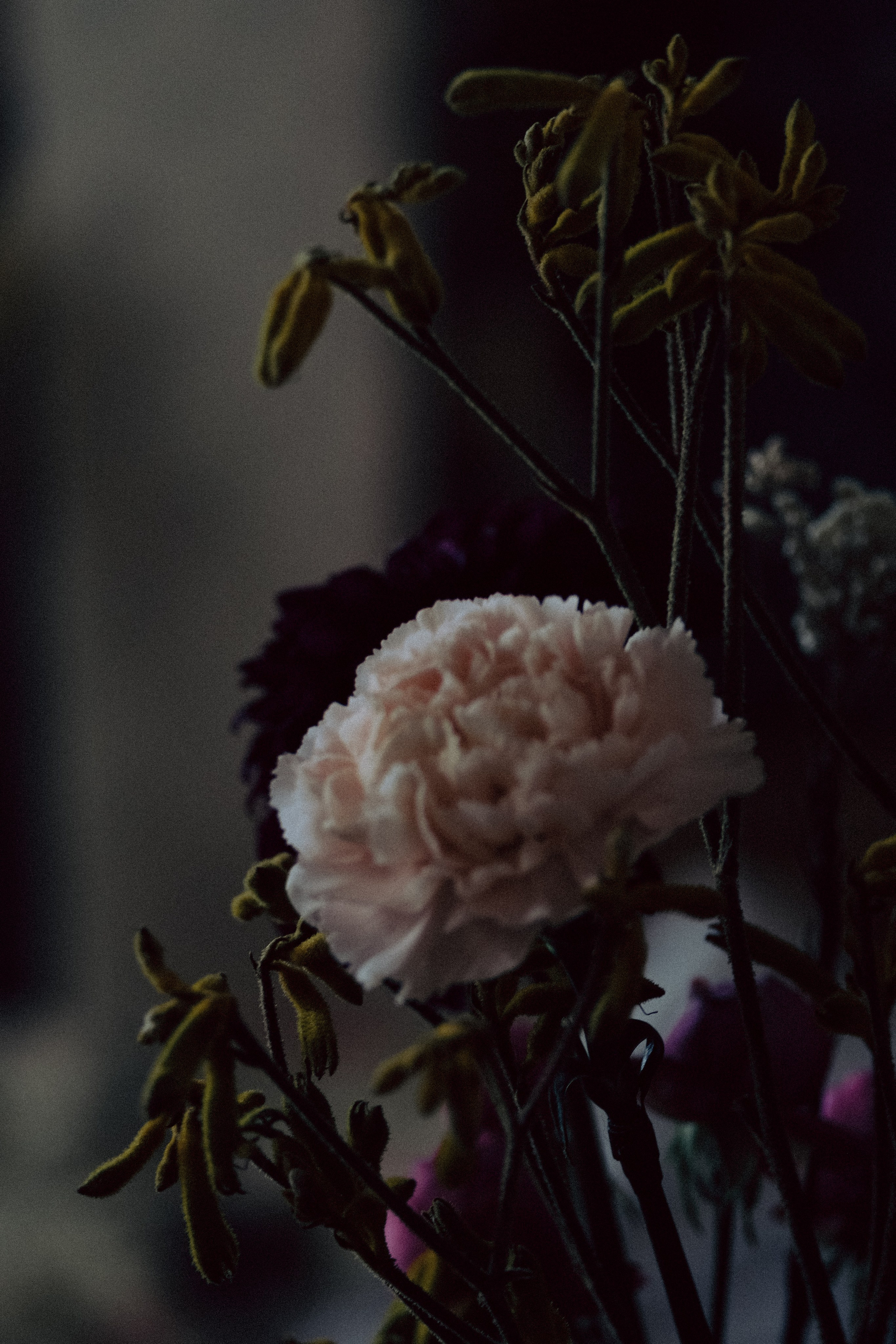 СВАДЕБНАЯ СЬЕМКА С КАБРИОЛЕТОМ В САНТК-ПЕТЕРБУРГЕ НА ПЕТРОГРАДКЕ В ОТЕЛЕ ПАНОРАМИКА. Профессиональный фотограф, Санкт-Петербург — Виктория Богомолова