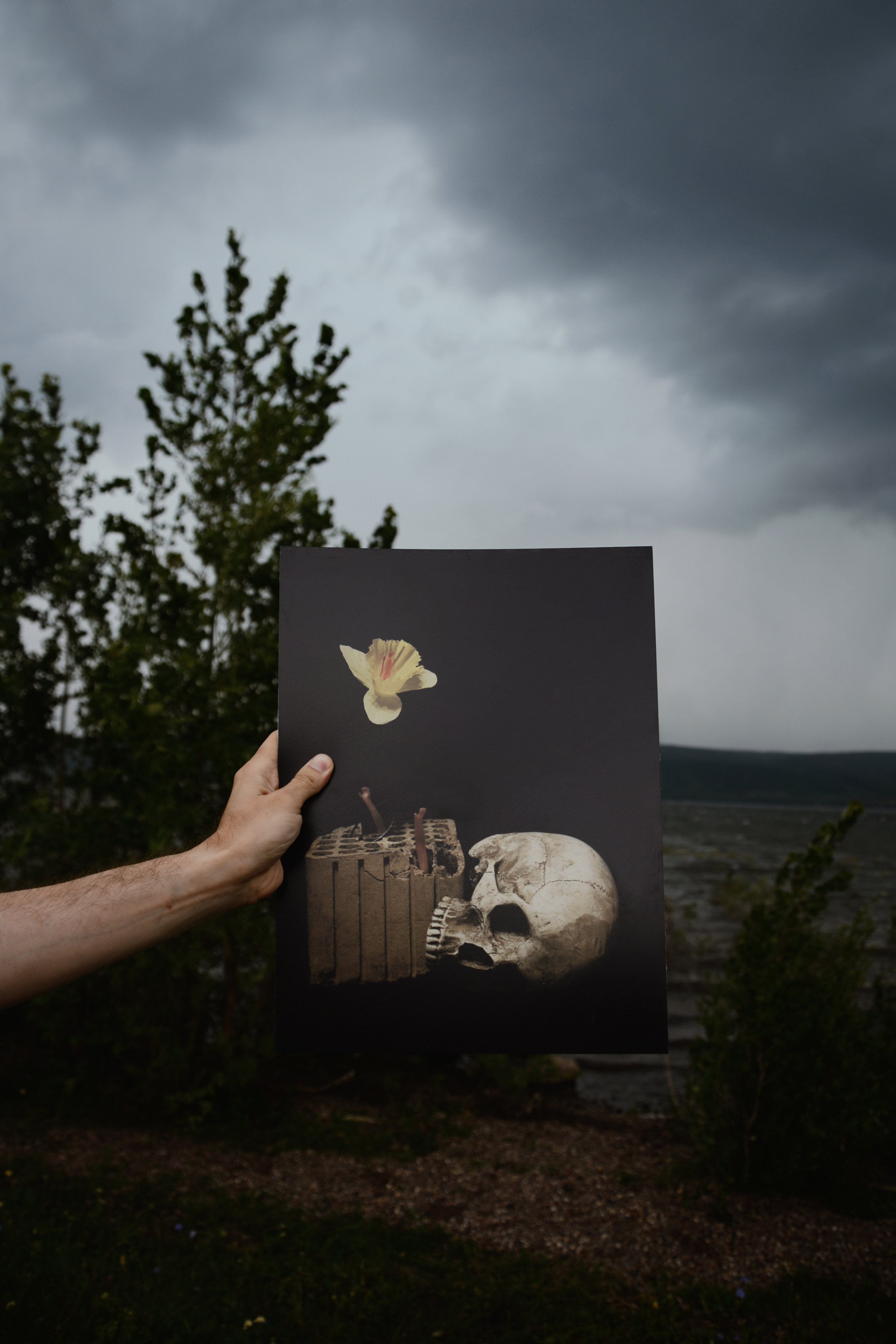 Открытки. Фотограф Марина Гранкина