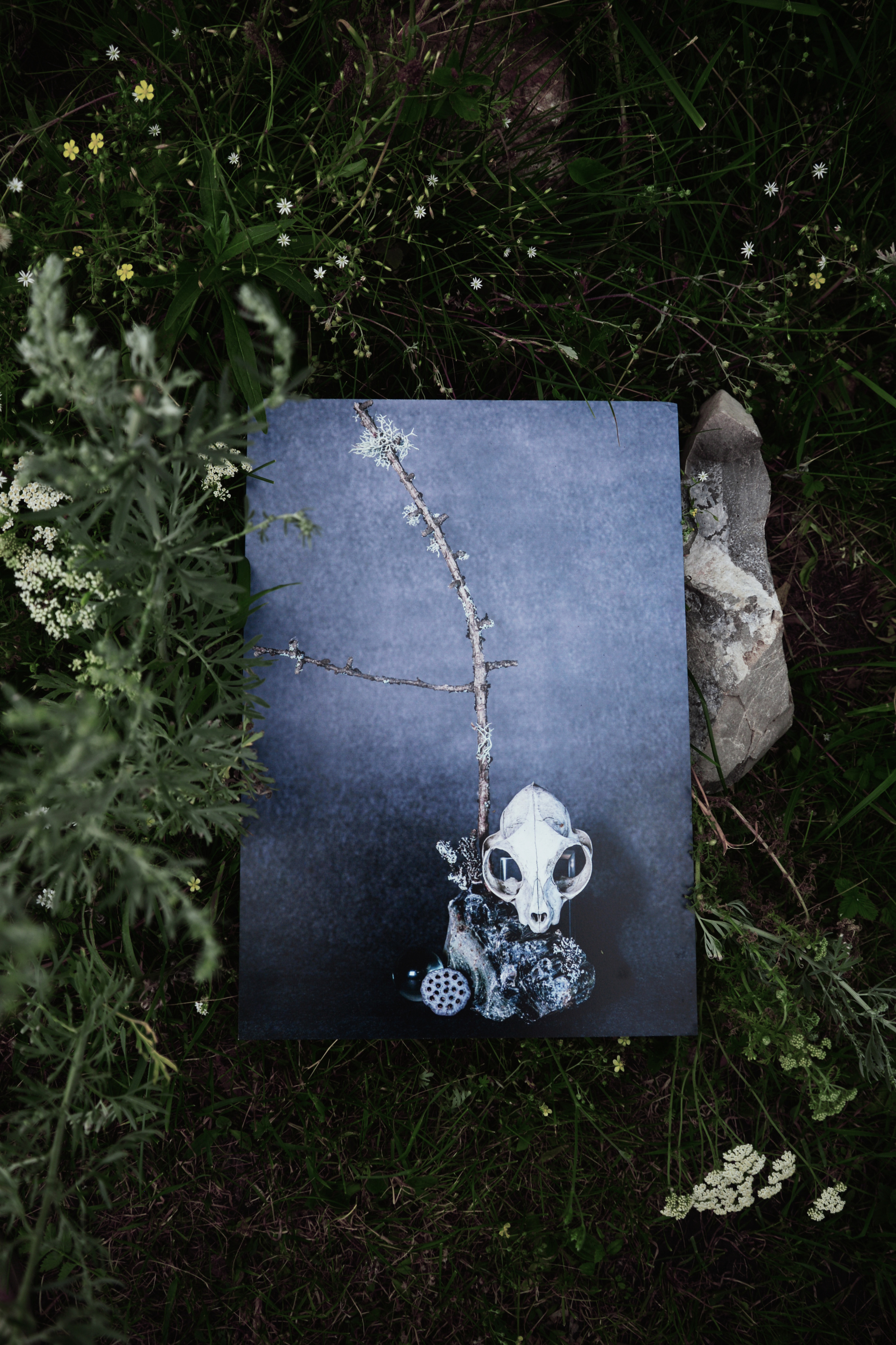 Открытки. Фотограф Марина Гранкина