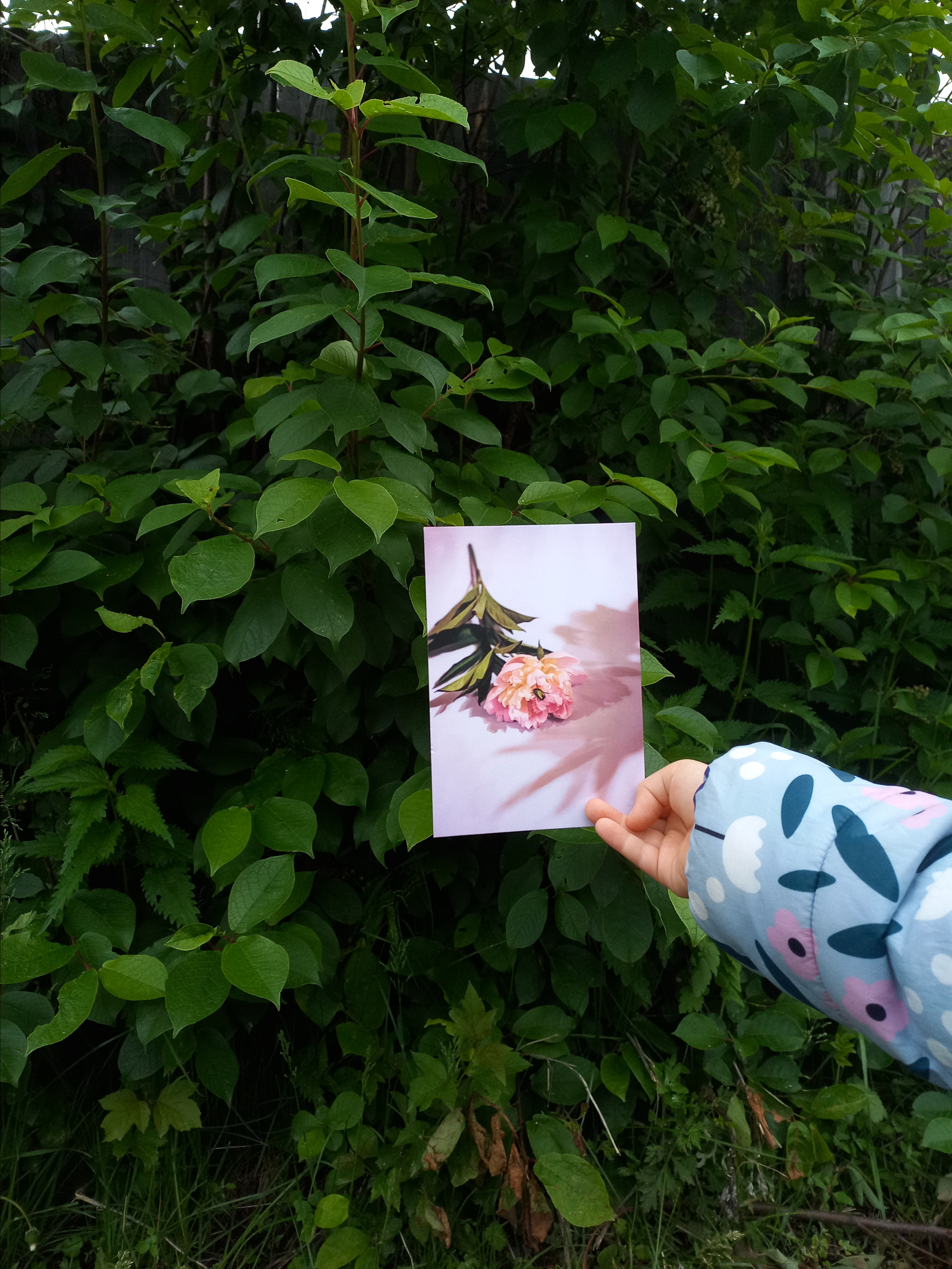 Открытки. Фотограф Марина Гранкина