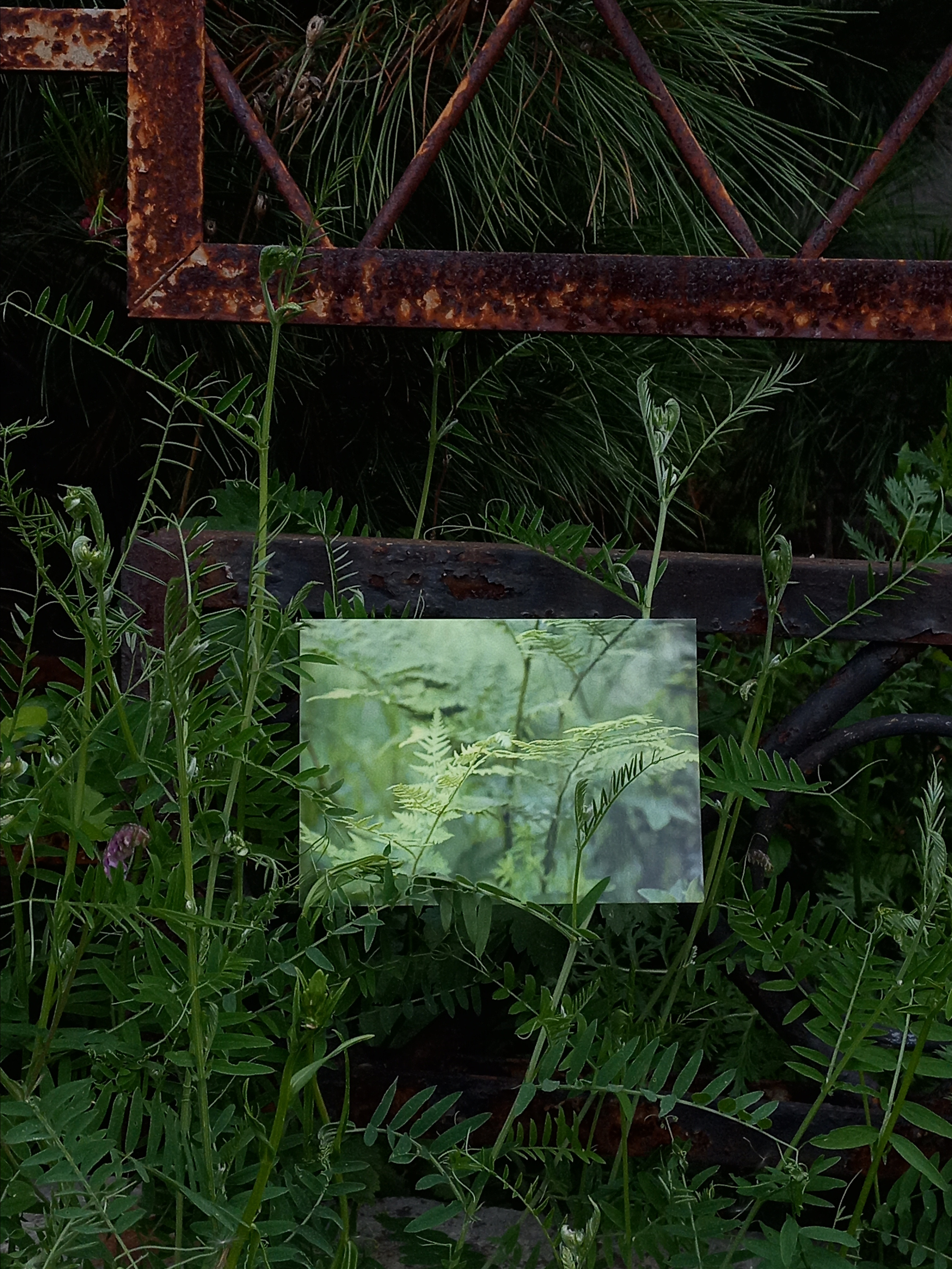 Открытки. Фотограф Марина Гранкина