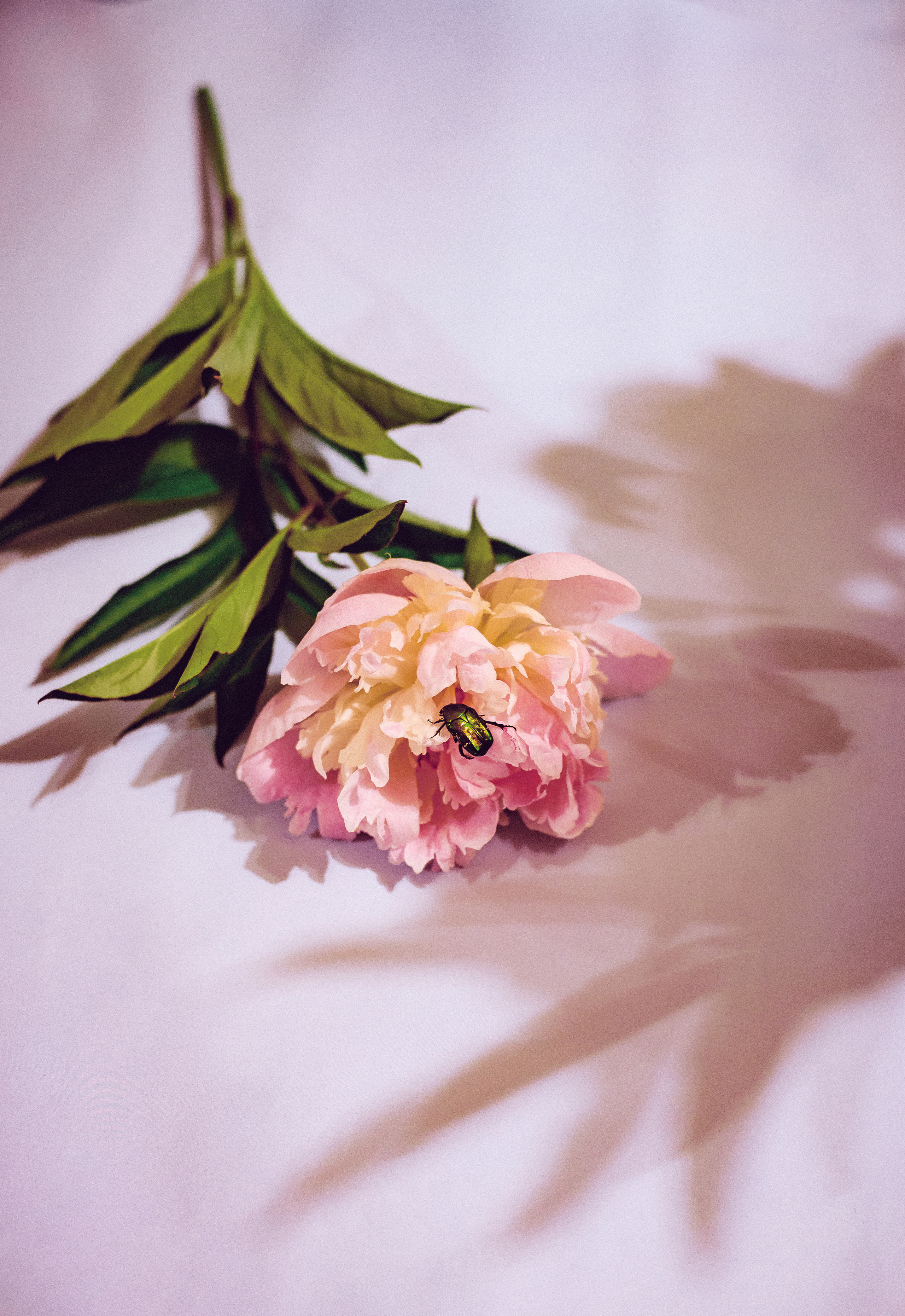 Фотограф Марина Гранкина