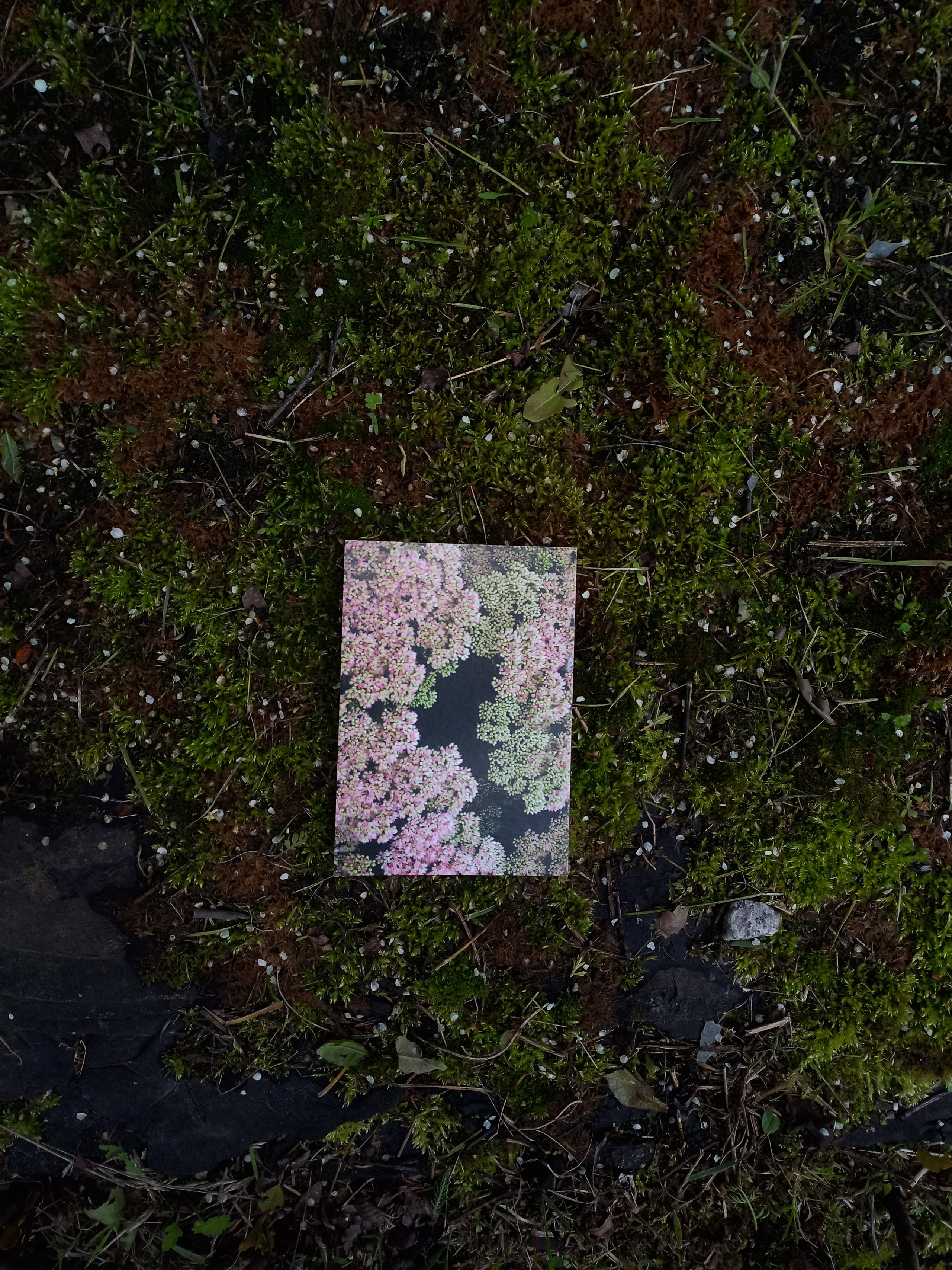 Открытки. Фотограф Марина Гранкина