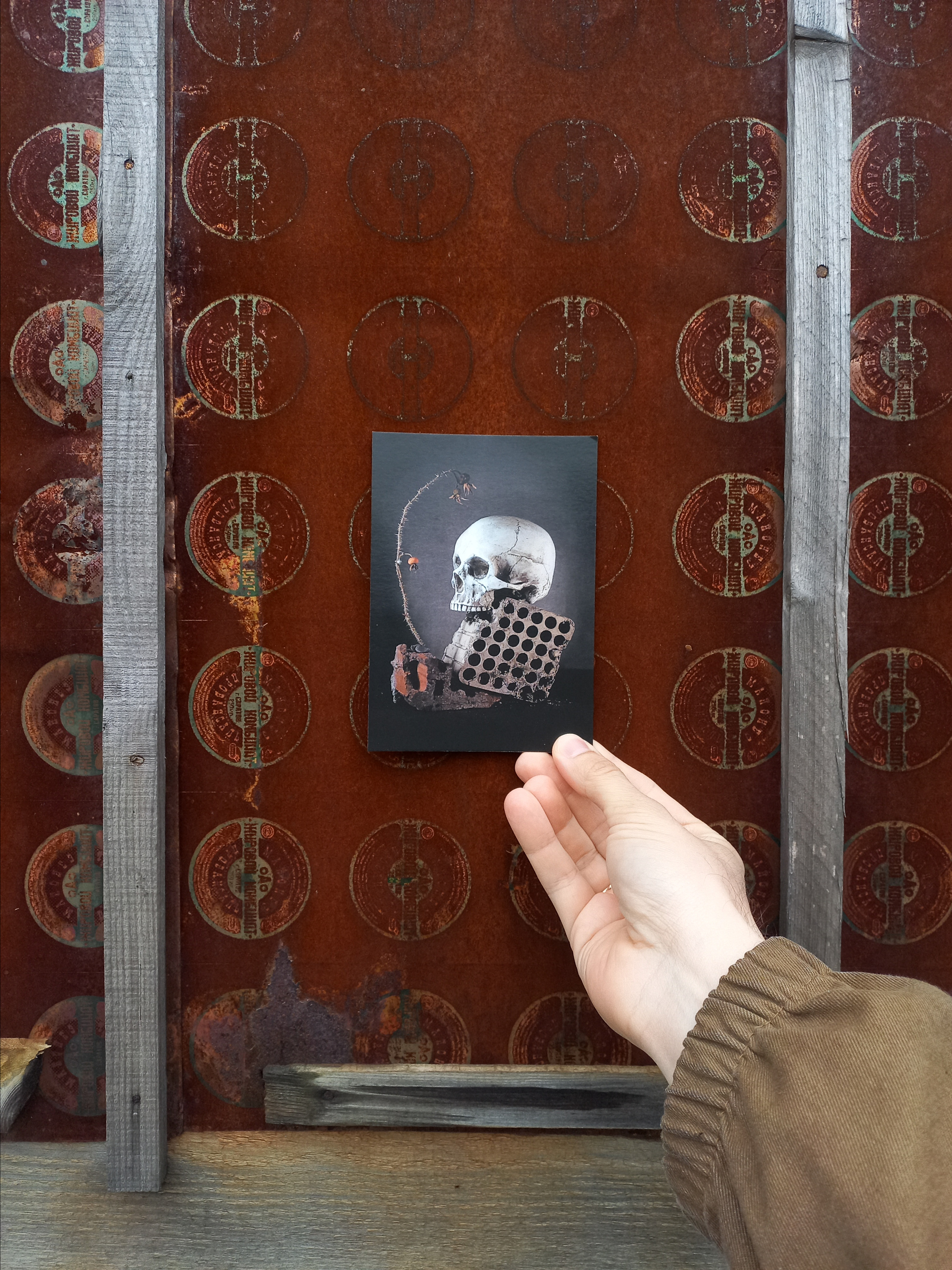 Открытки. Фотограф Марина Гранкина