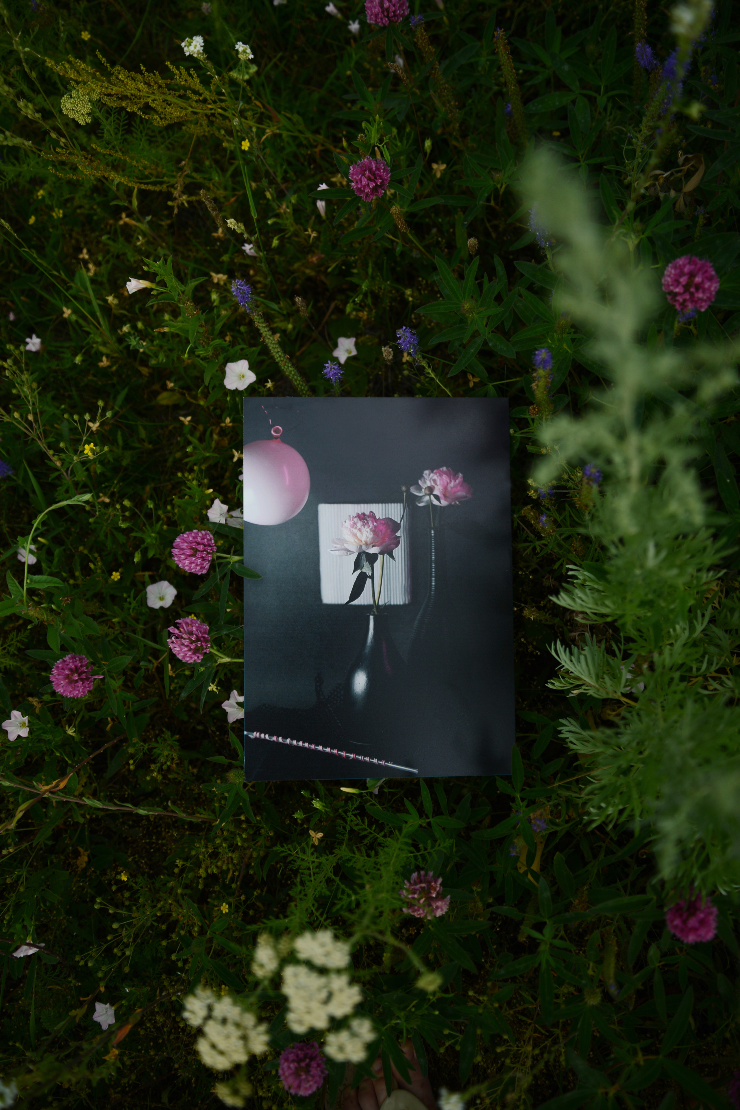 Открытки. Фотограф Марина Гранкина