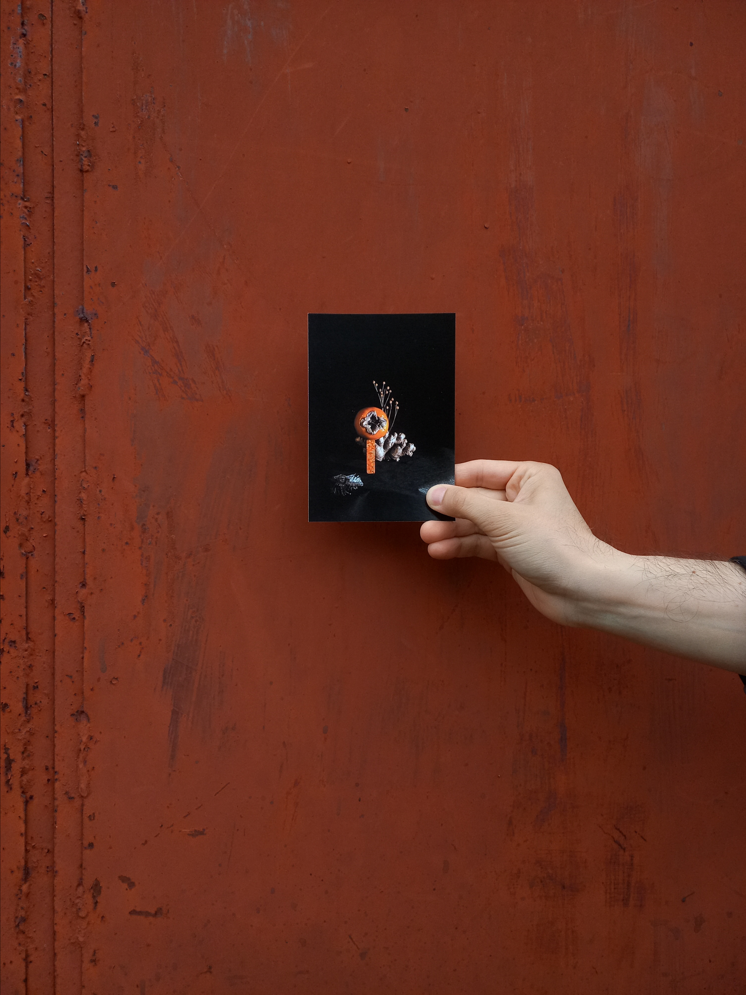 Открытки. Фотограф Марина Гранкина