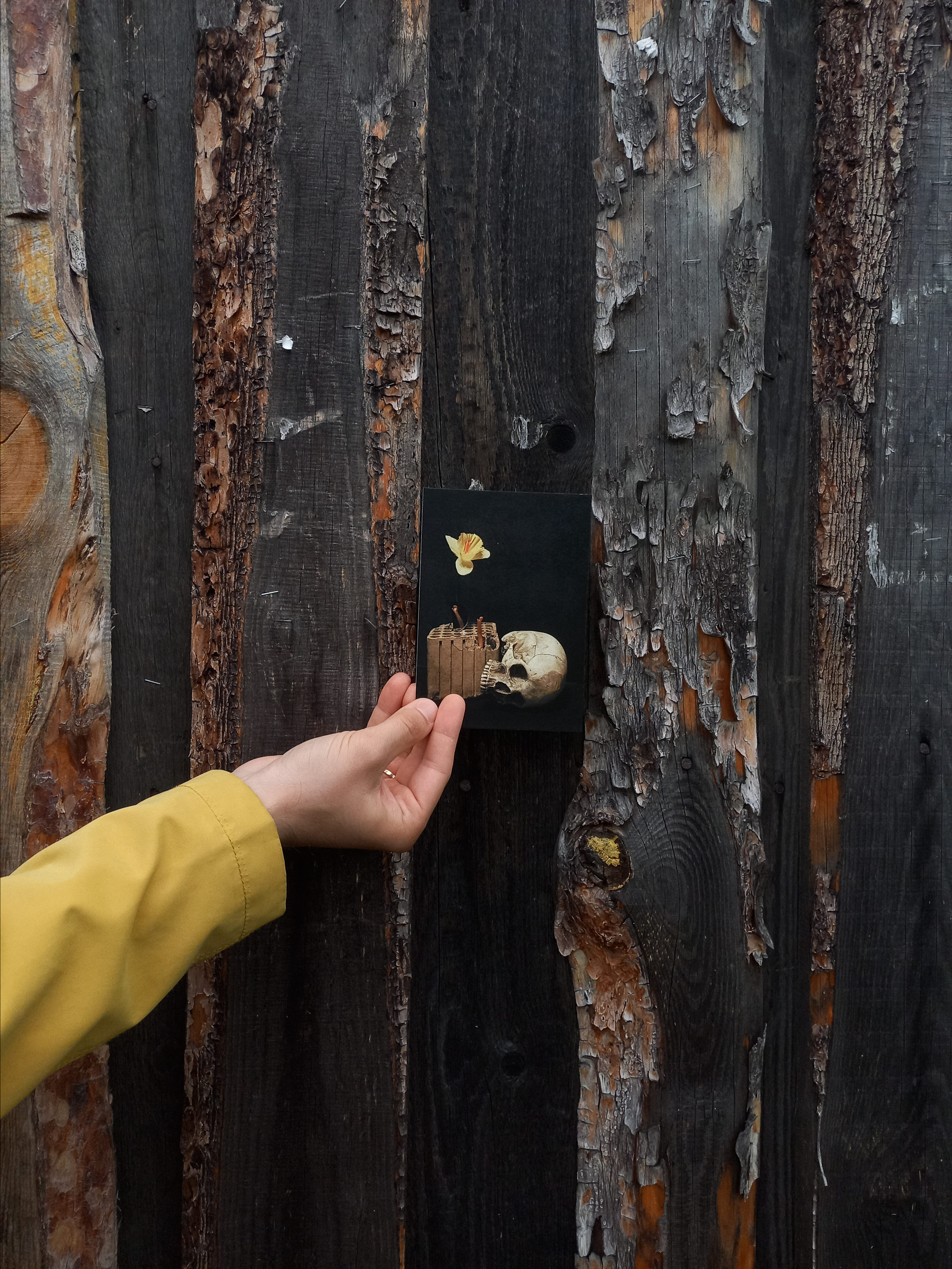 Открытки. Фотограф Марина Гранкина