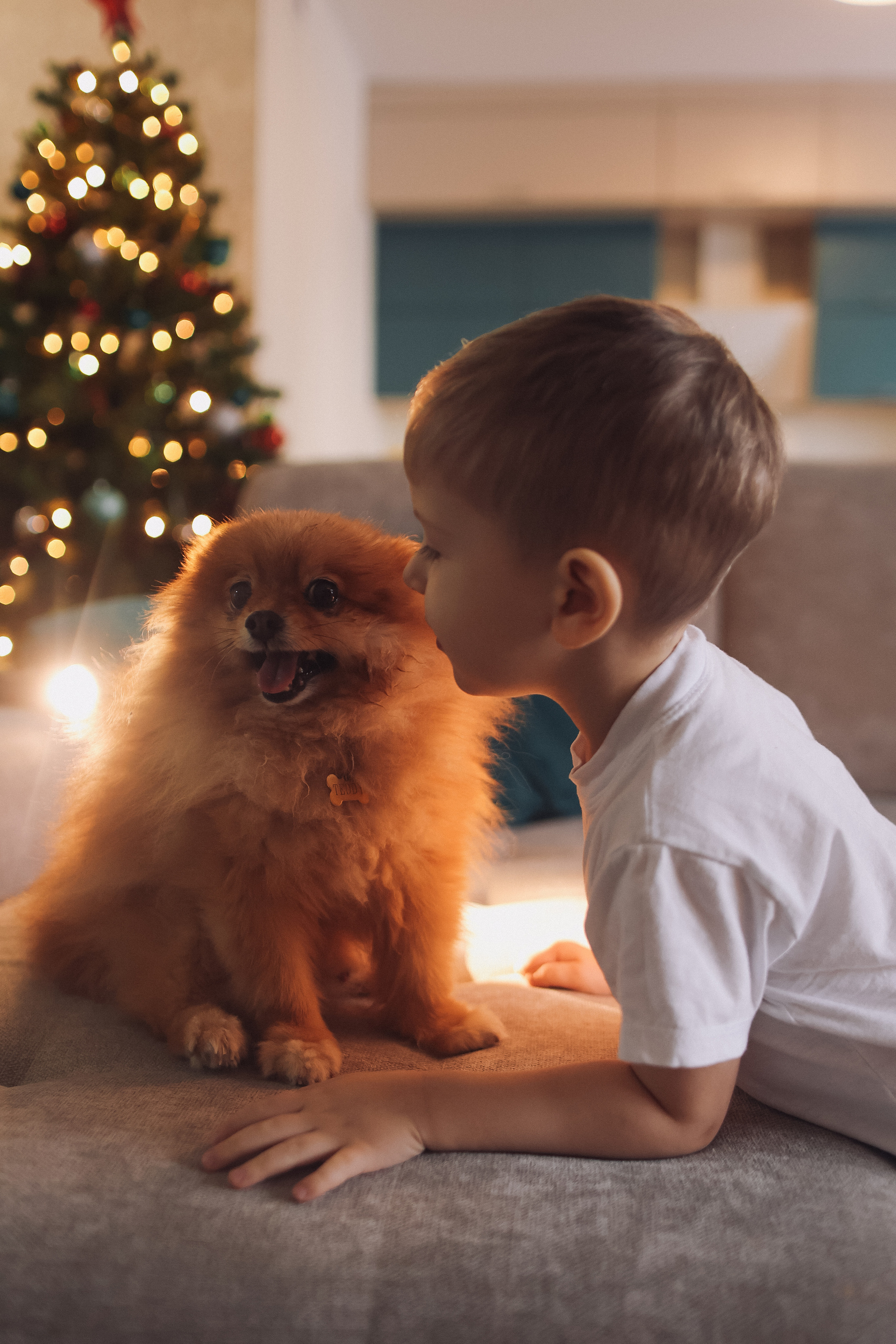 Новогодняя. Семейный фотограф Тюмень, фотограф на роды Салмина Мария