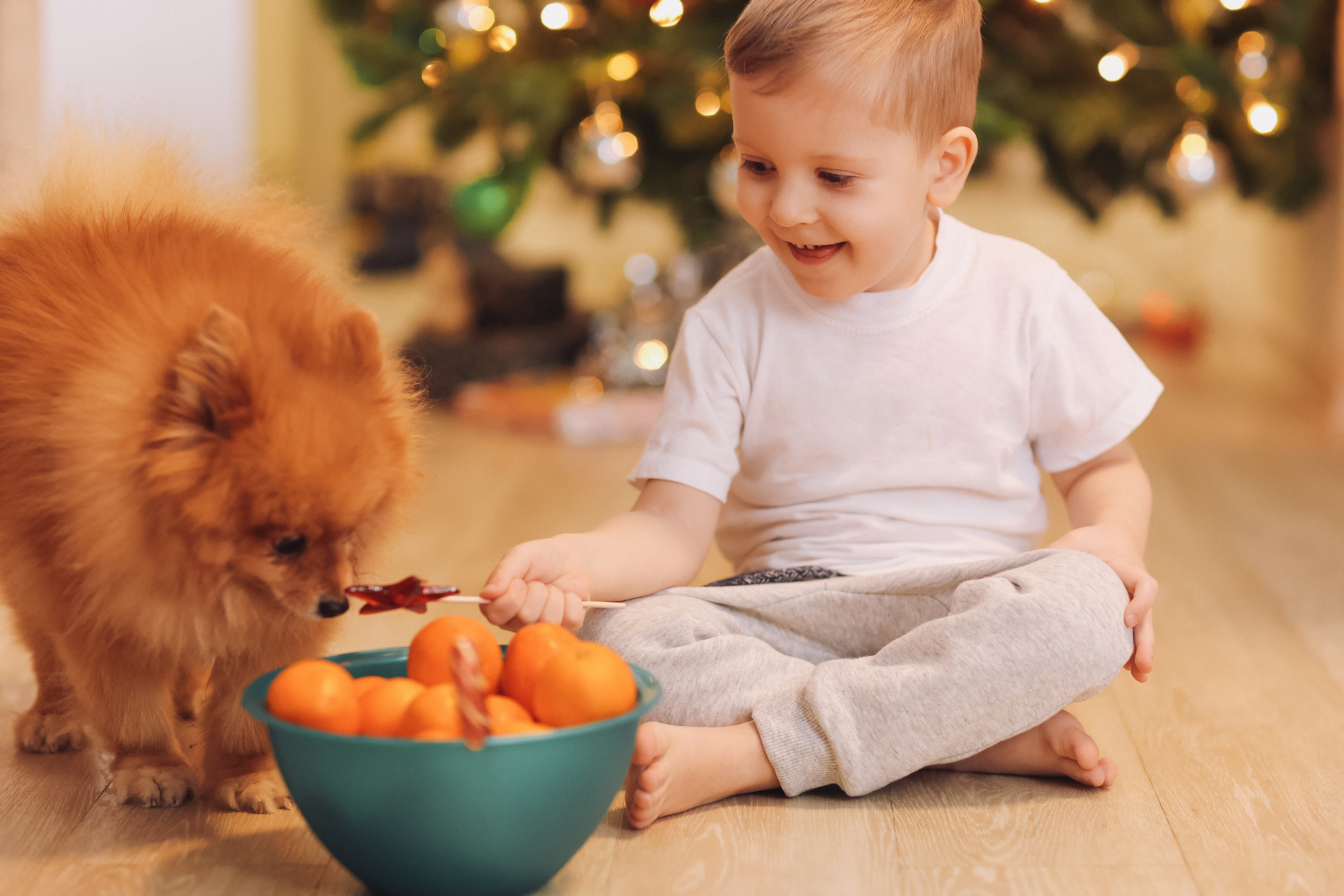 Новогодняя. Семейный фотограф Тюмень, фотограф на роды Салмина Мария