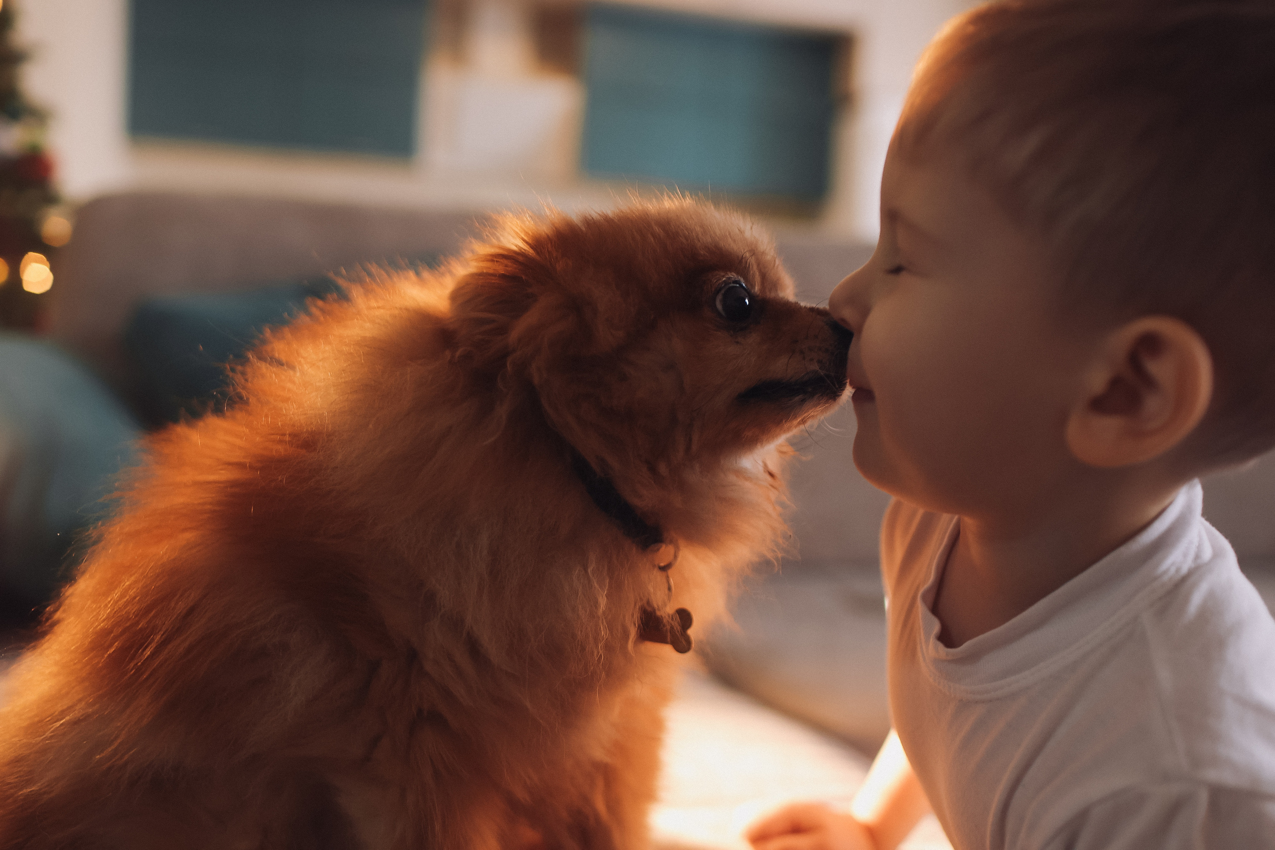 Новогодняя. Семейный фотограф Тюмень, фотограф на роды Салмина Мария