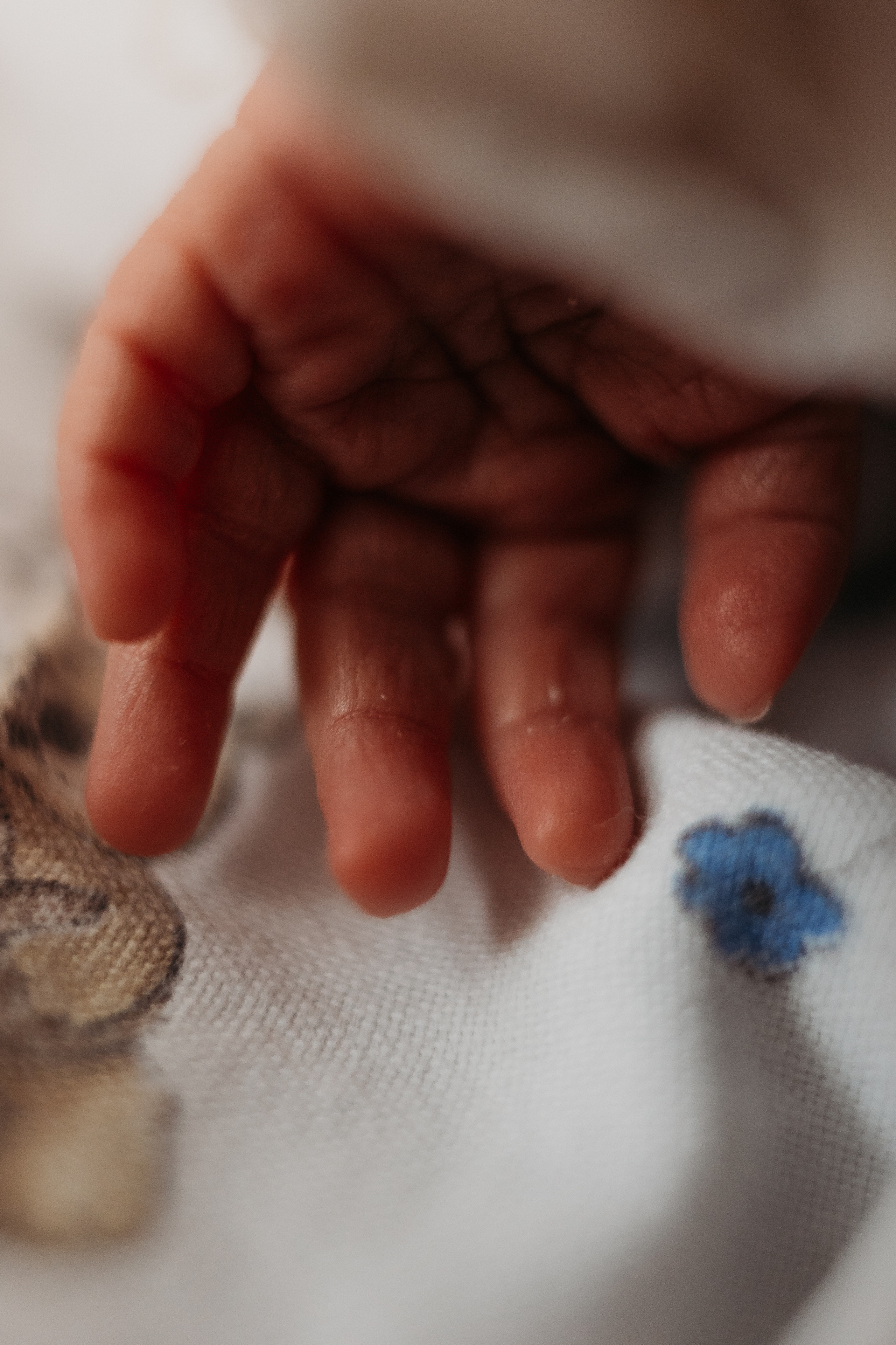 Выписка с палатой. Семейный фотограф Тюмень, фотограф на роды Салмина Мария