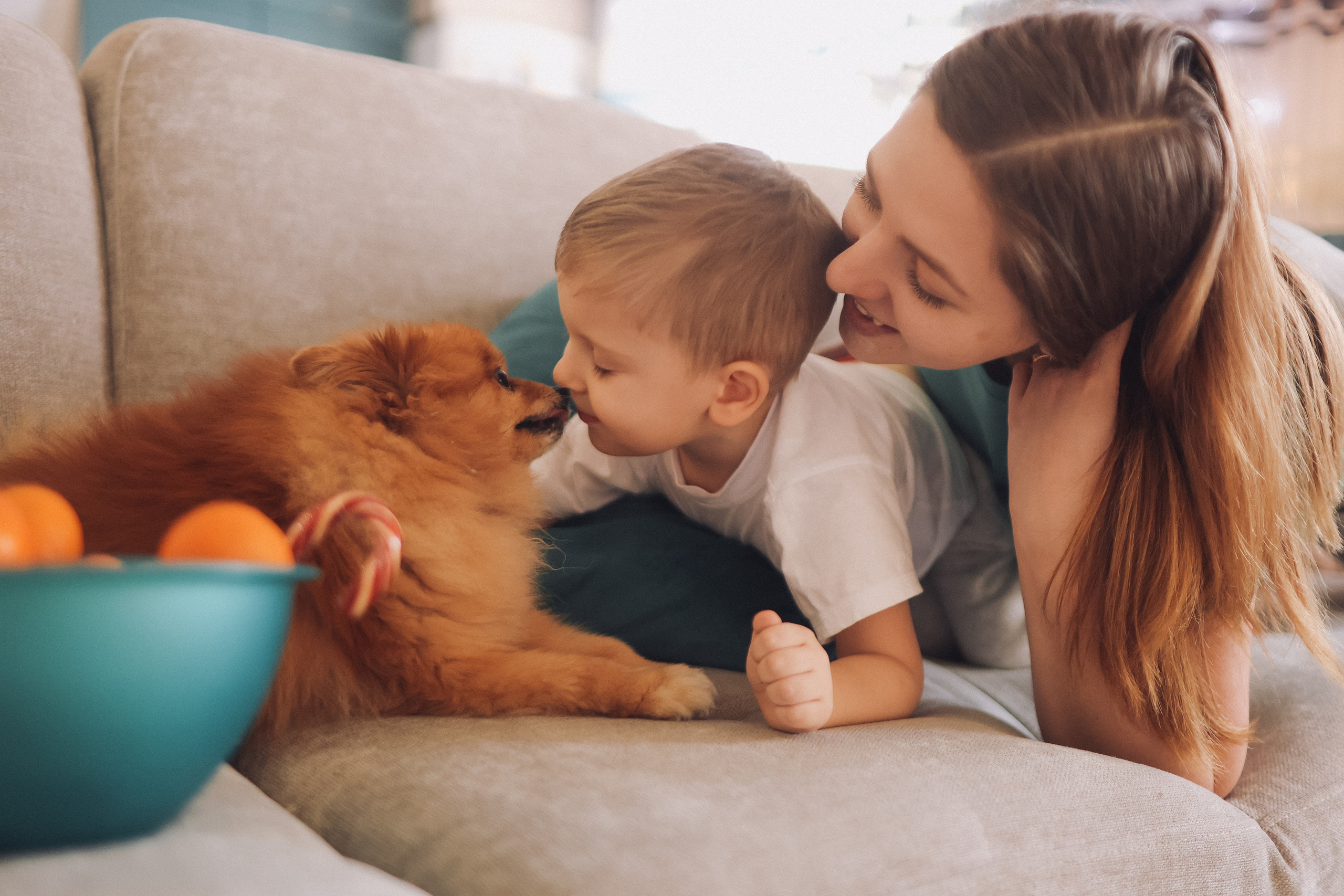Новогодняя. Семейный фотограф Тюмень, фотограф на роды Салмина Мария