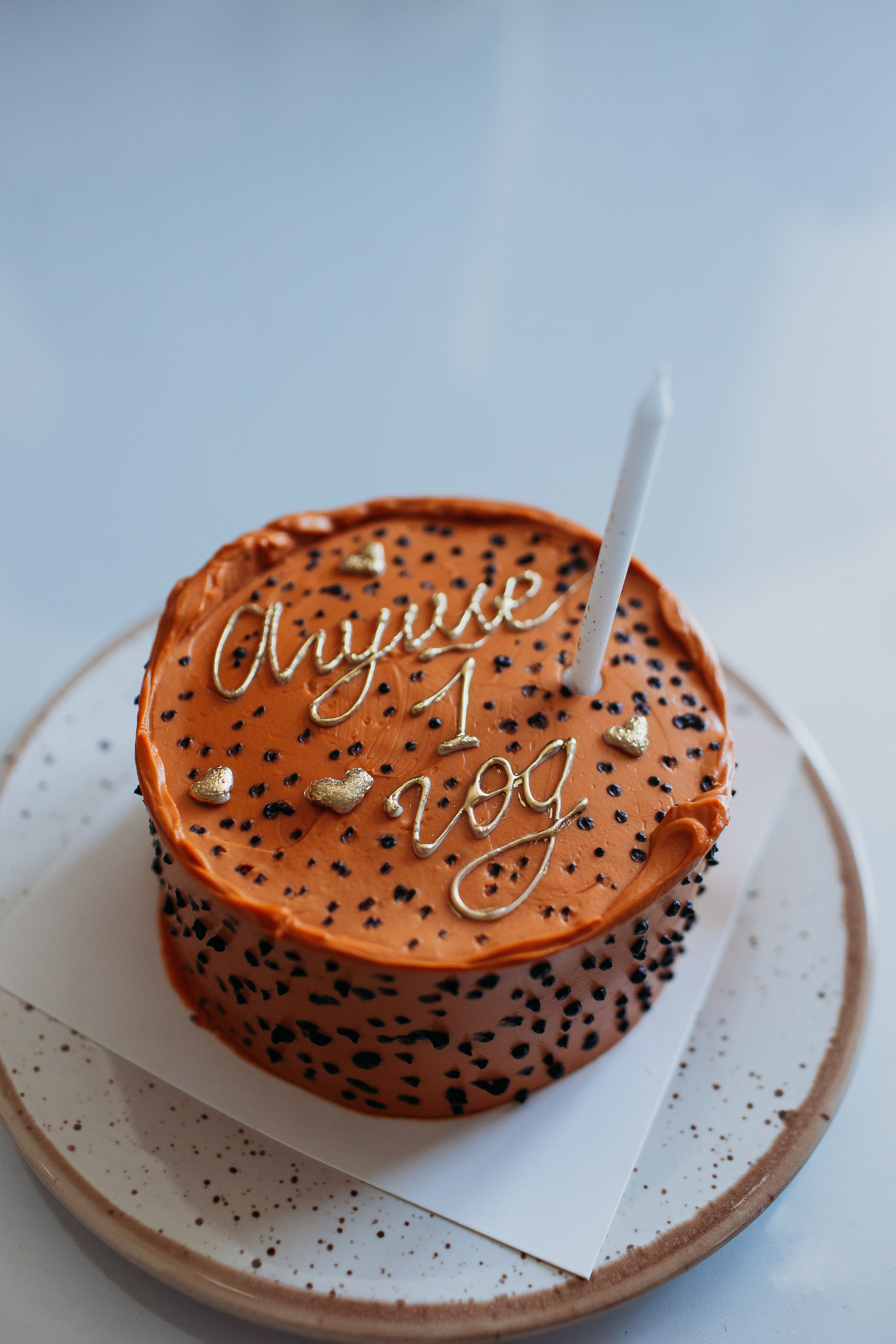 1 годик. Семейный фотограф Тюмень, фотограф на роды Салмина Мария