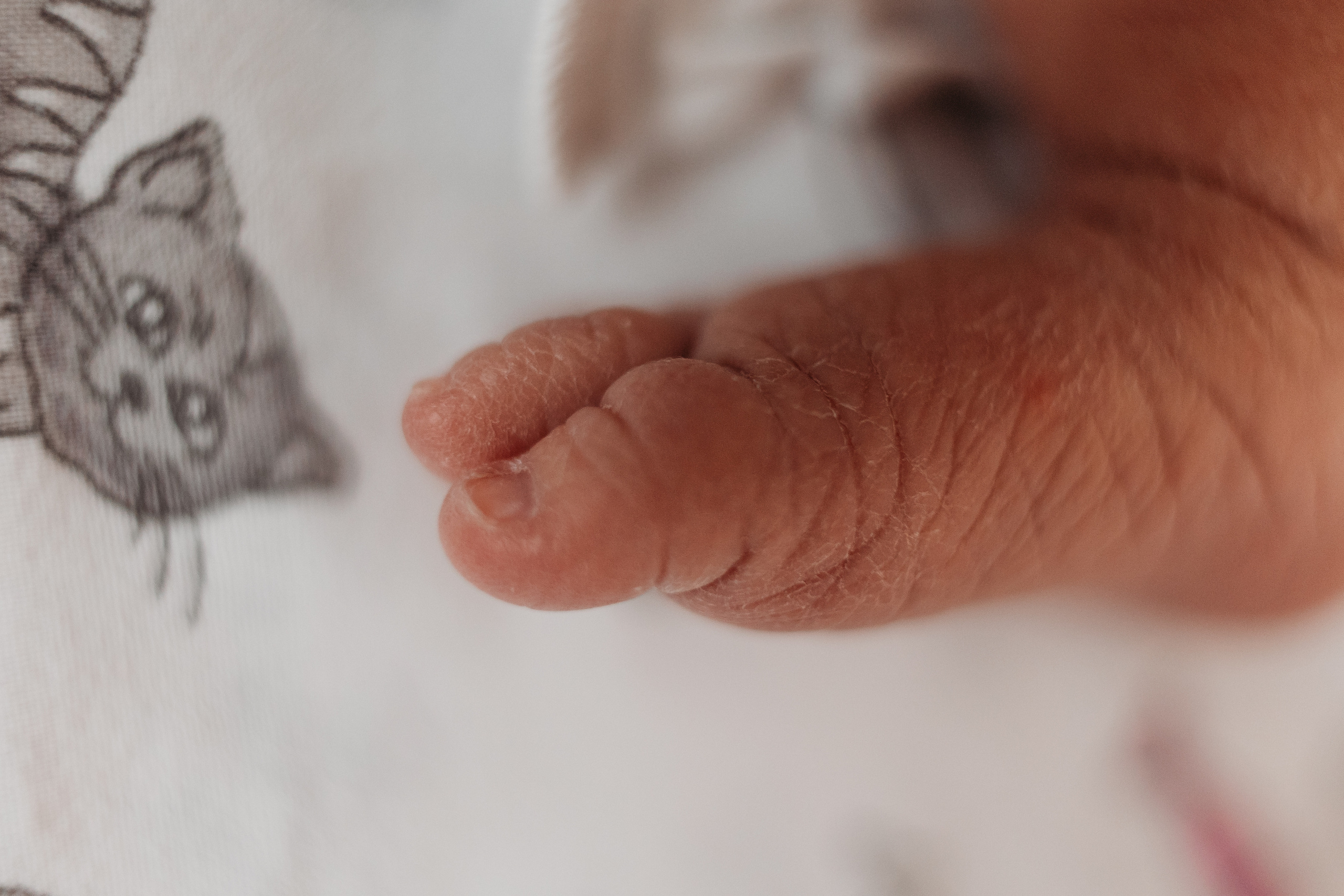 Выписка с палатой. Семейный фотограф Тюмень, фотограф на роды Салмина Мария