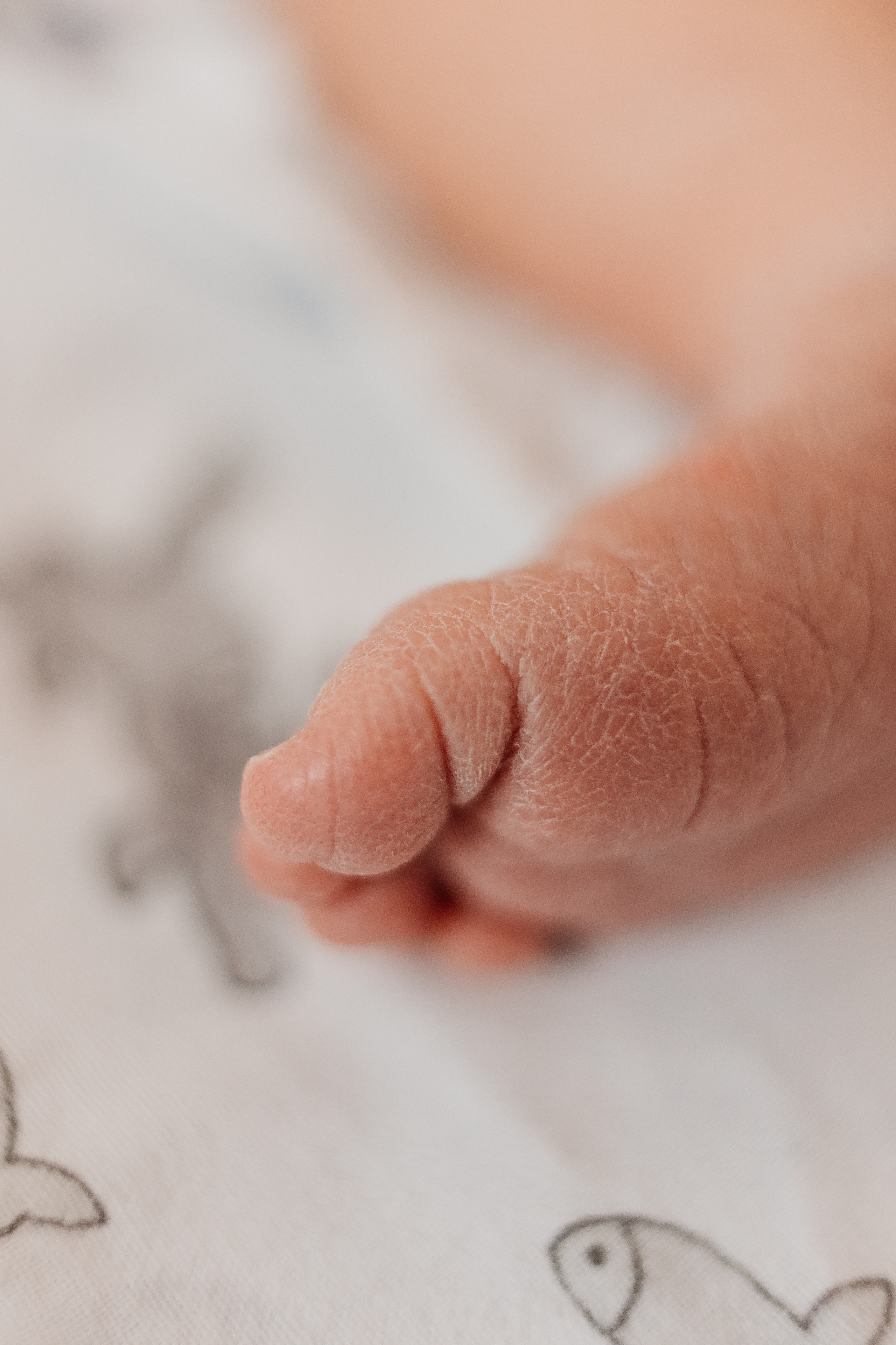 Выписка с палатой. Семейный фотограф Тюмень, фотограф на роды Салмина Мария