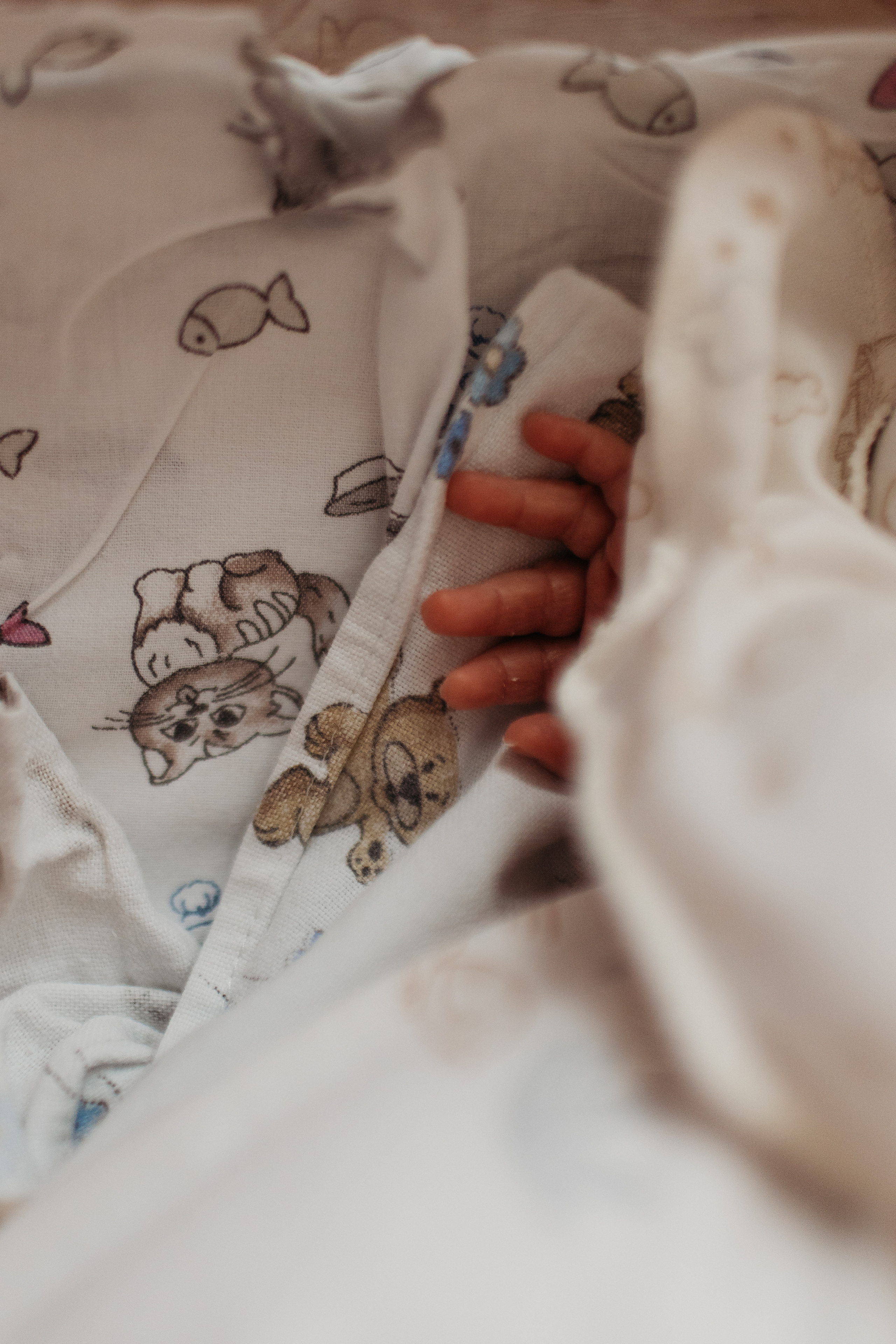 Выписка с палатой. Семейный фотограф Тюмень, фотограф на роды Салмина Мария