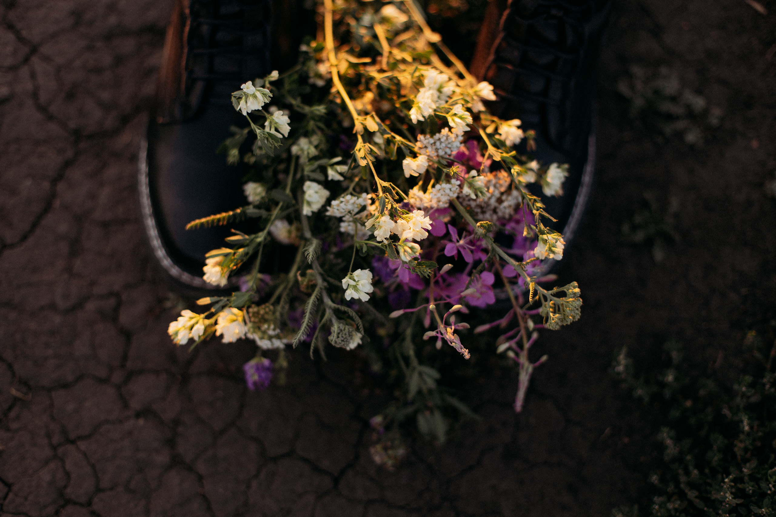 Поле. Семейный фотограф Тюмень, фотограф на роды Салмина Мария