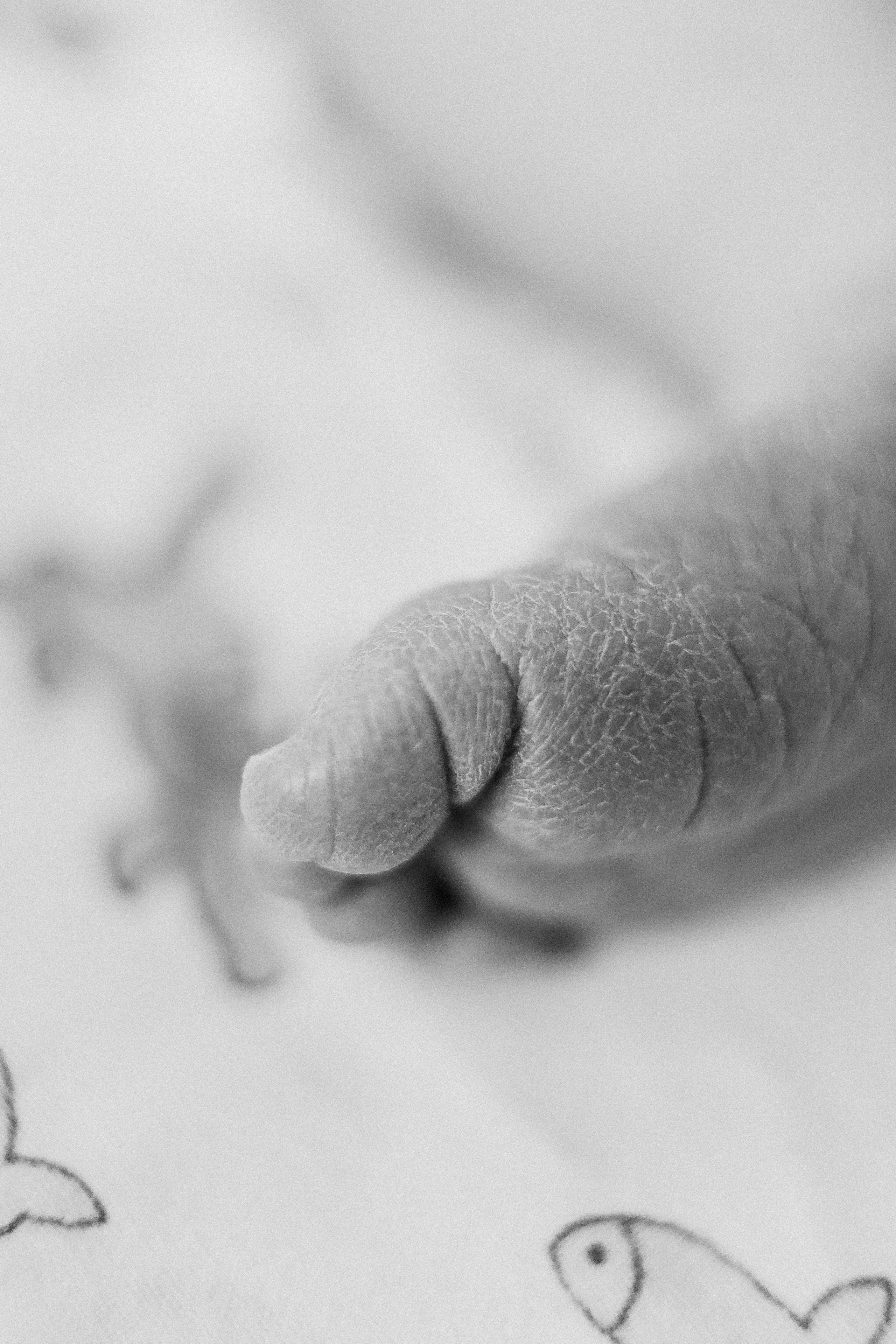 Выписка с палатой. Семейный фотограф Тюмень, фотограф на роды Салмина Мария