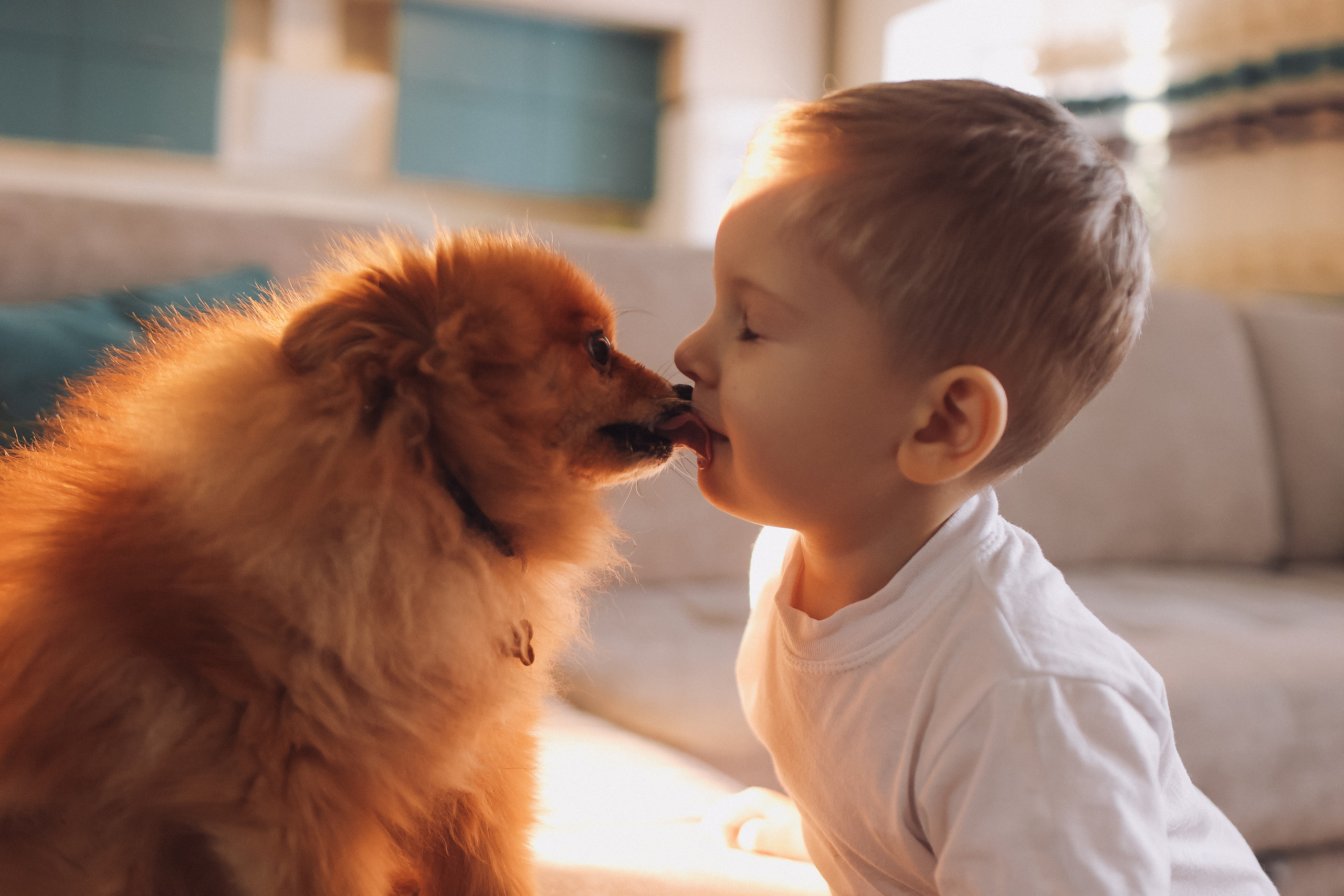 Новогодняя. Семейный фотограф Тюмень, фотограф на роды Салмина Мария
