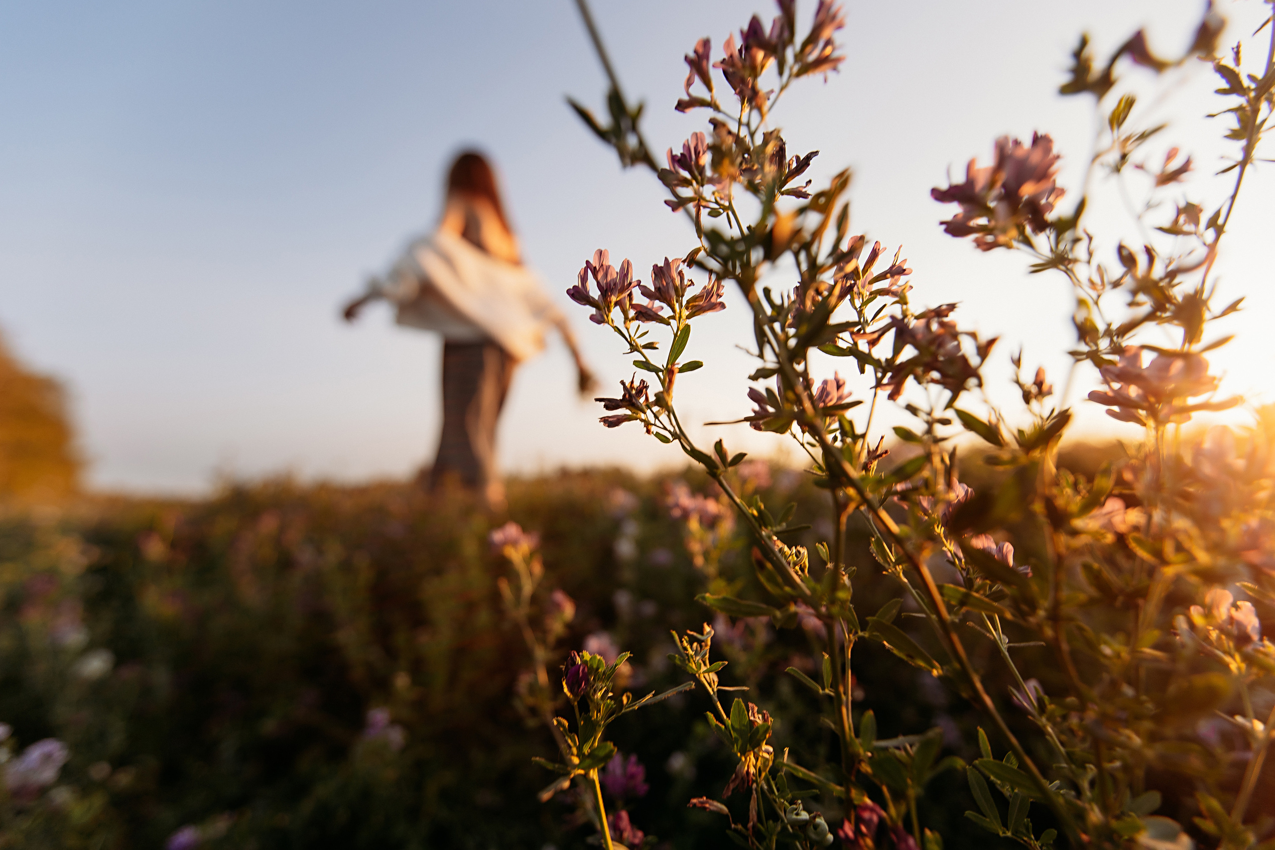 Поле. Семейный фотограф Тюмень, фотограф на роды Салмина Мария