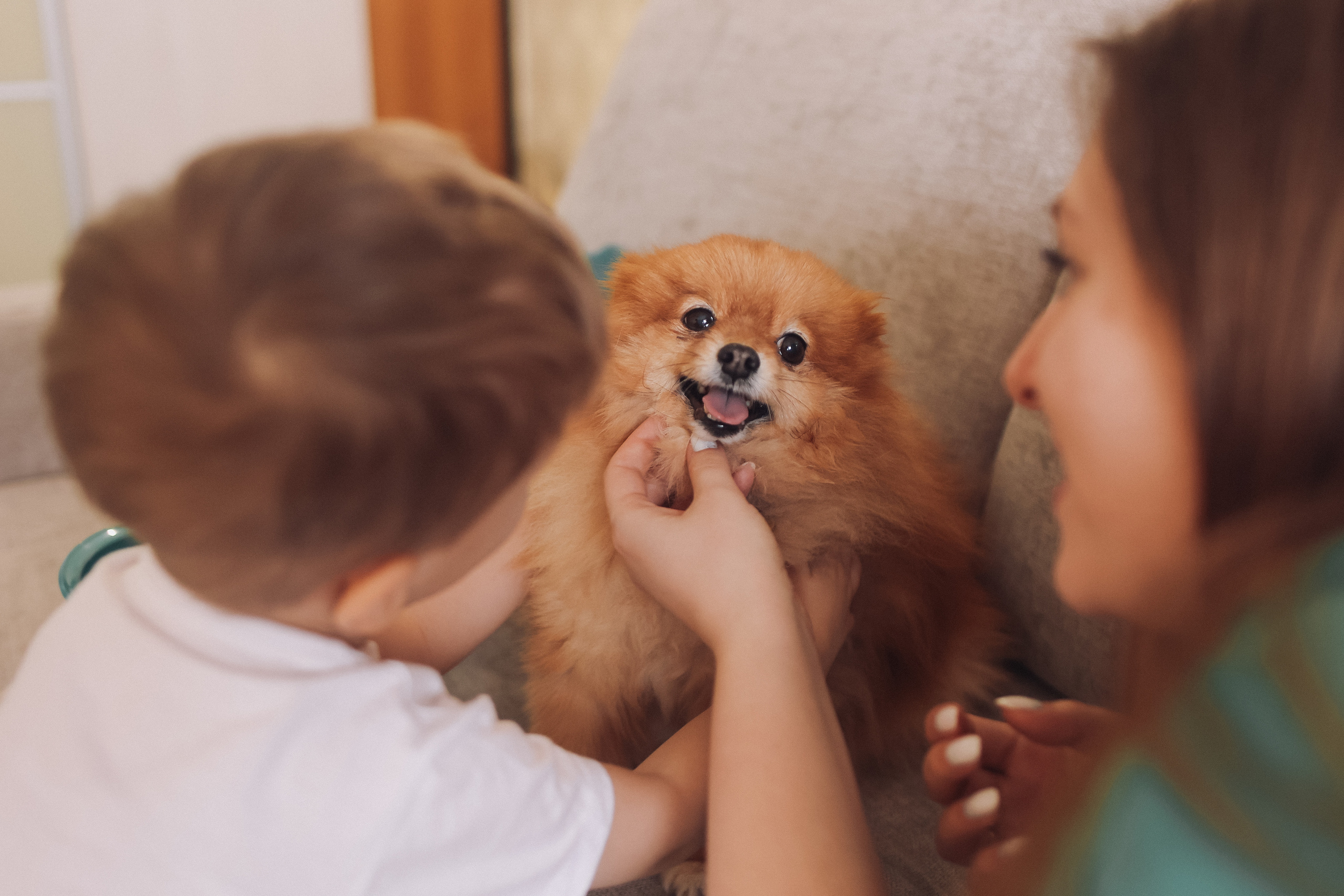 Новогодняя. Семейный фотограф Тюмень, фотограф на роды Салмина Мария