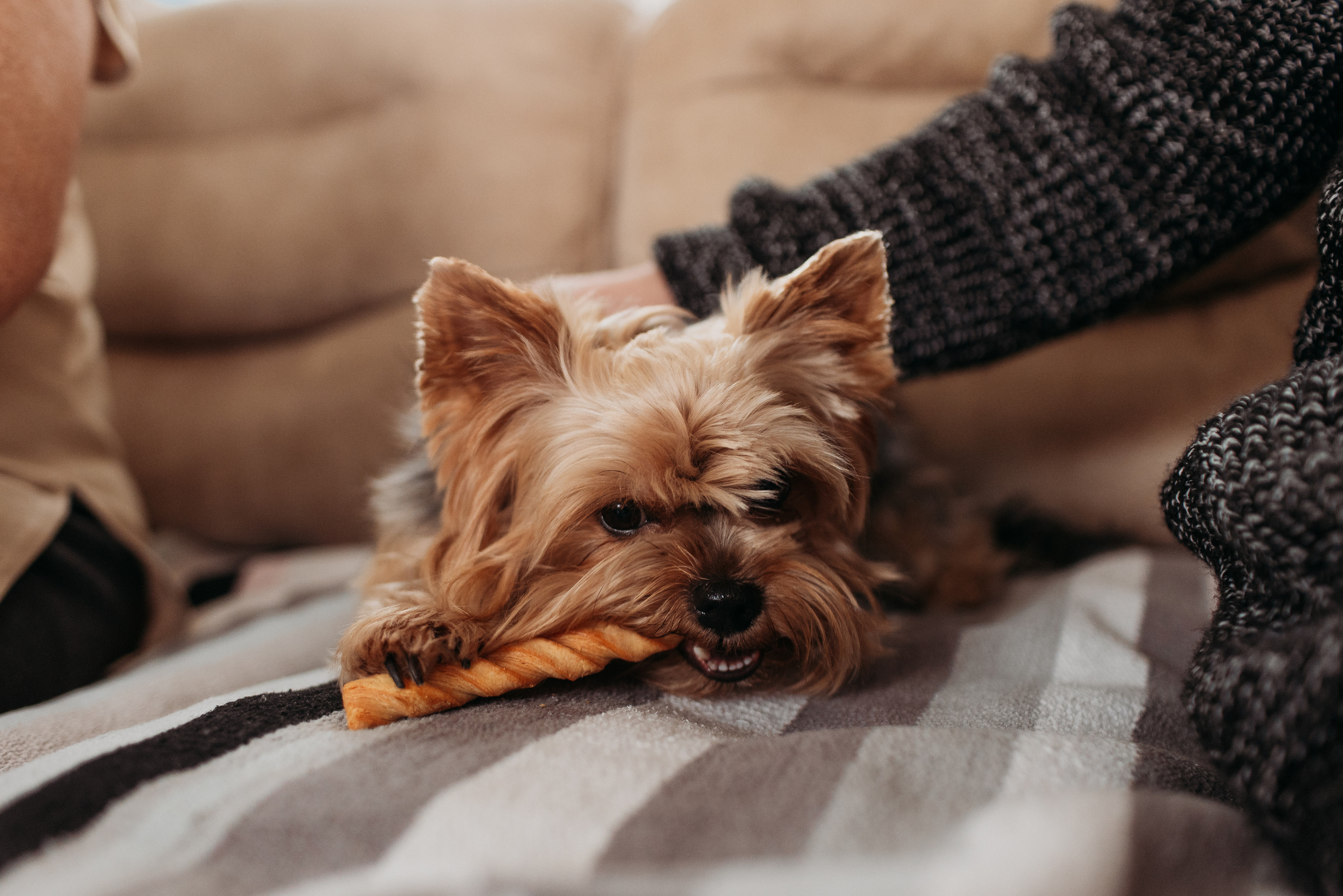 Большая семья. Семейный фотограф Тюмень, фотограф на роды Салмина Мария