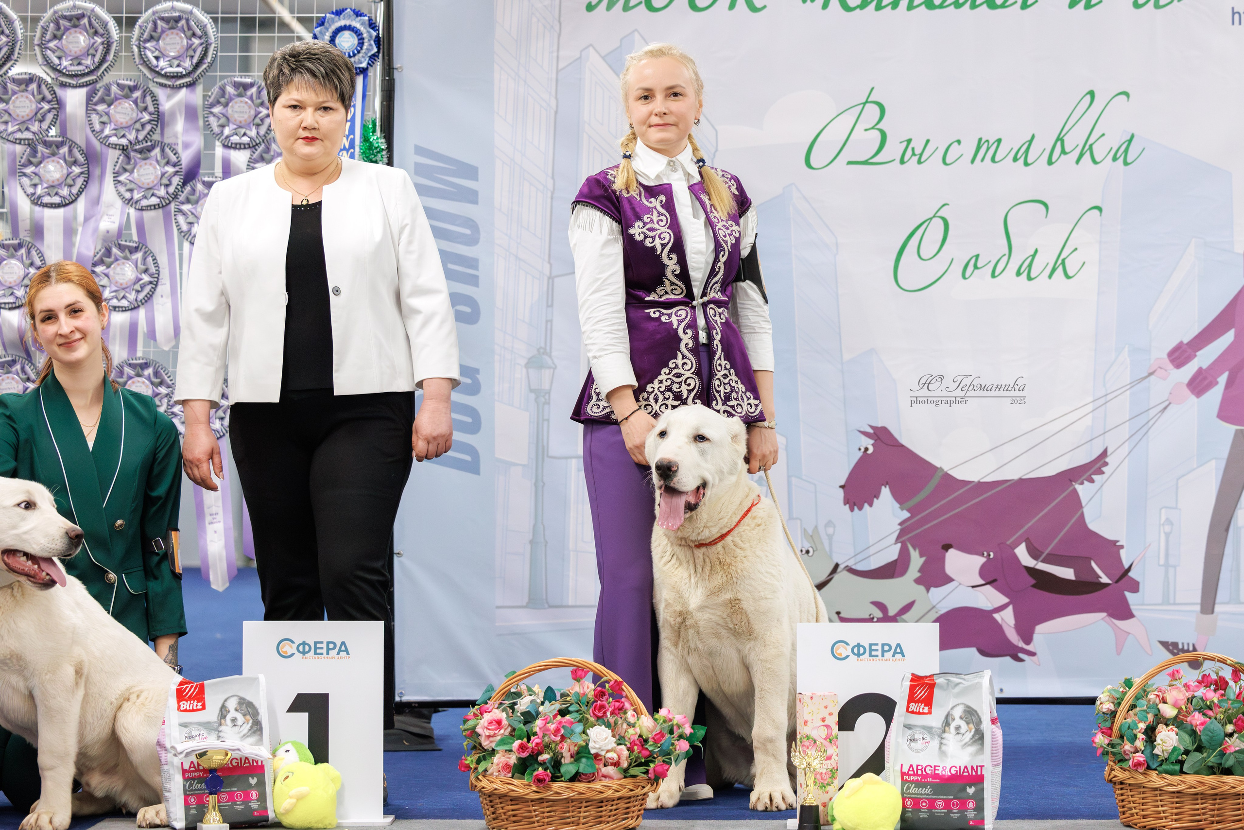 Сфера и Крокус 8,9,16 и 30.03.2025. Фотограф-анималист Юлия Германика