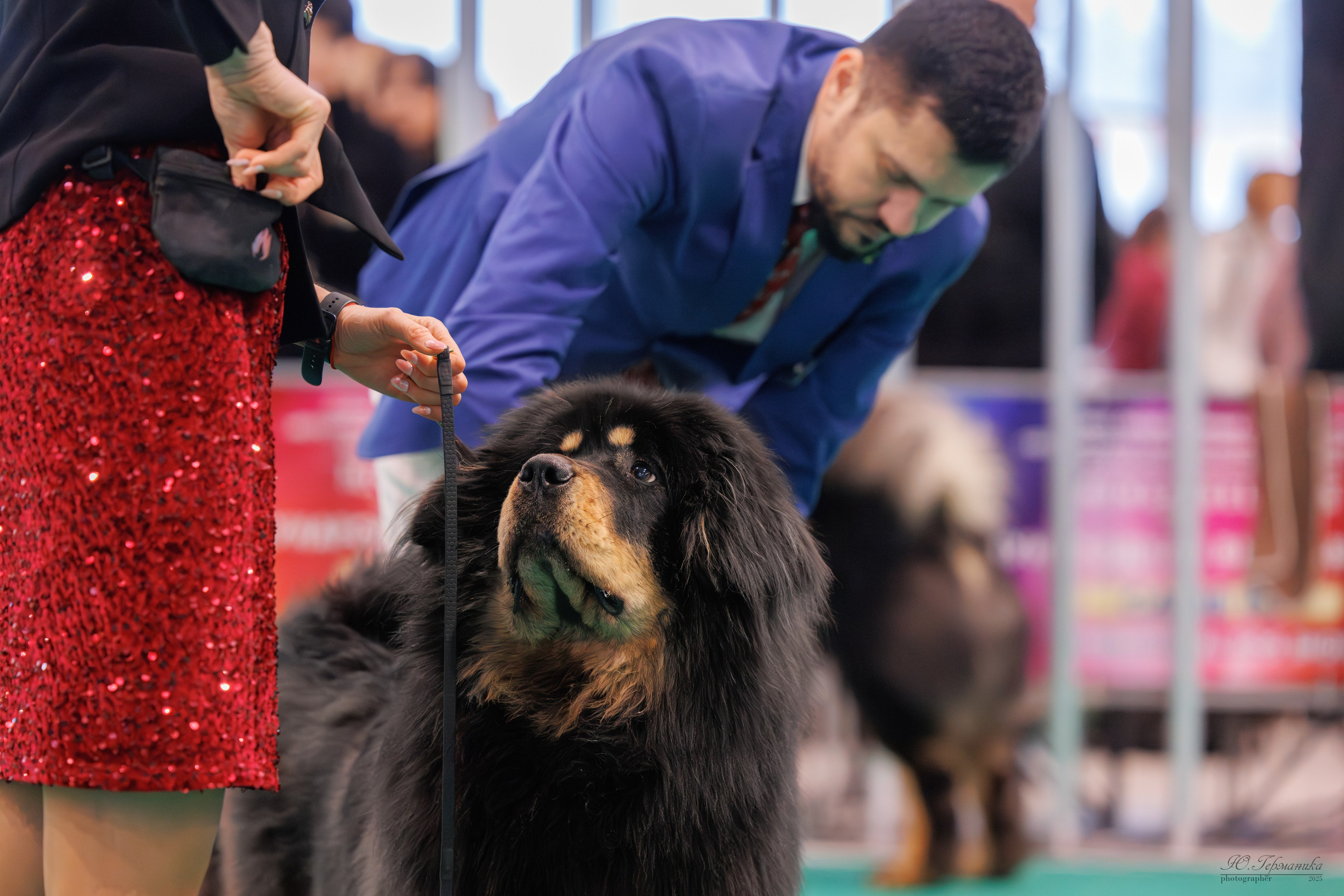 Минск 1-2.03.2025. Фотограф-анималист Юлия Германика
