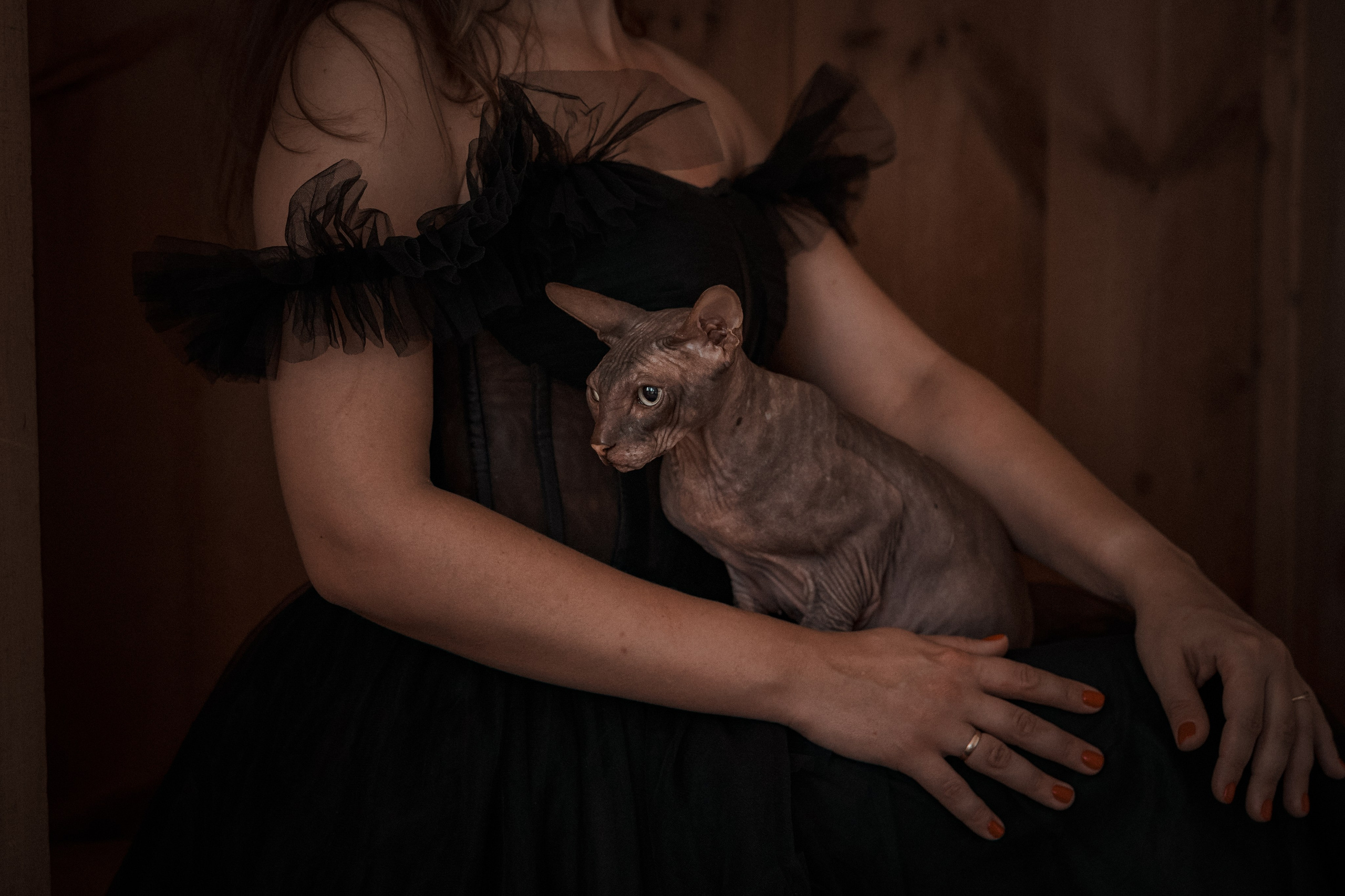 Мария, коты Рамсик и Вася. Фотограф анималист в Казани Алина Сулейманова. Фотограф животных