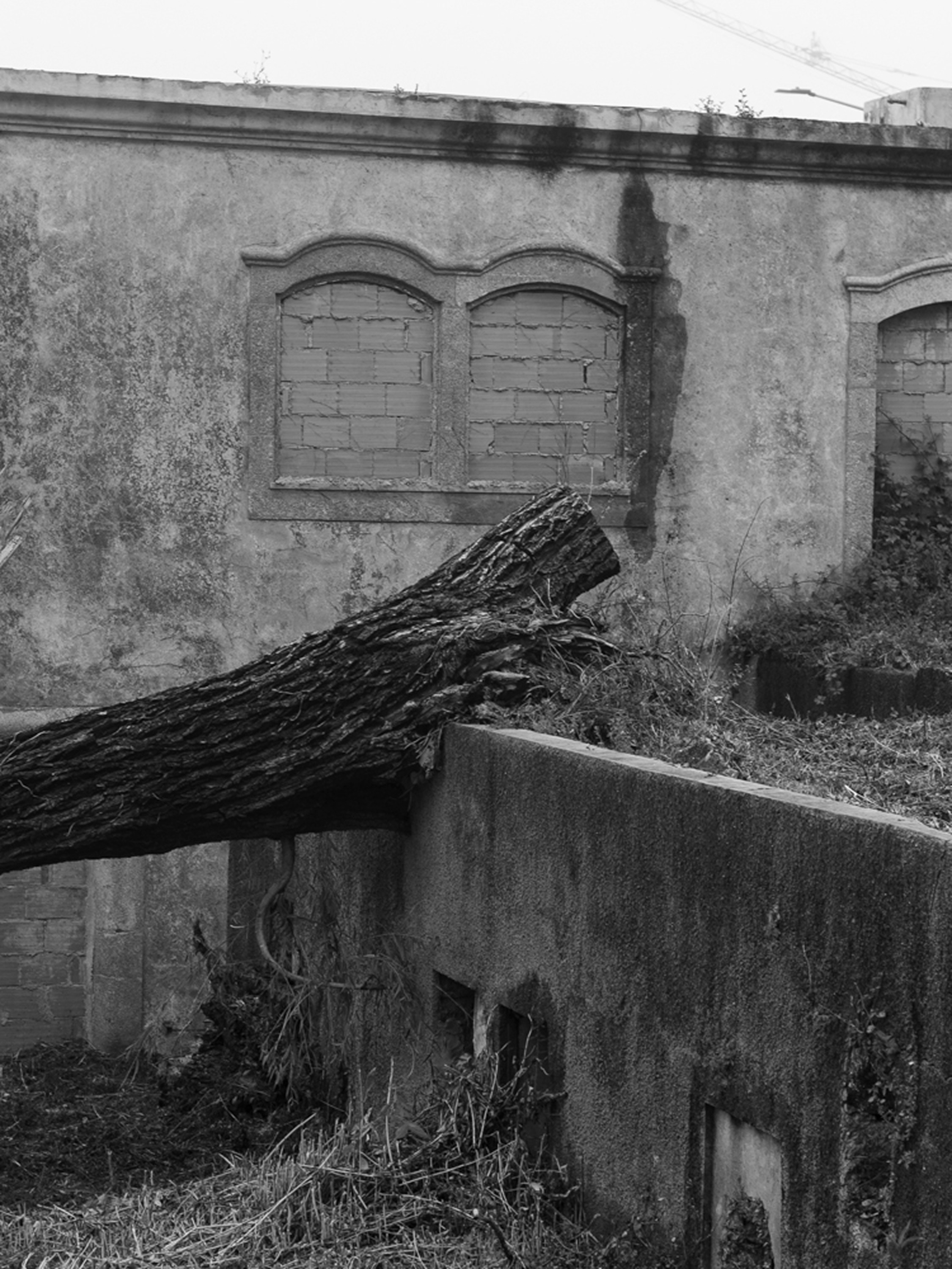 The veil. Ula Aldokhina