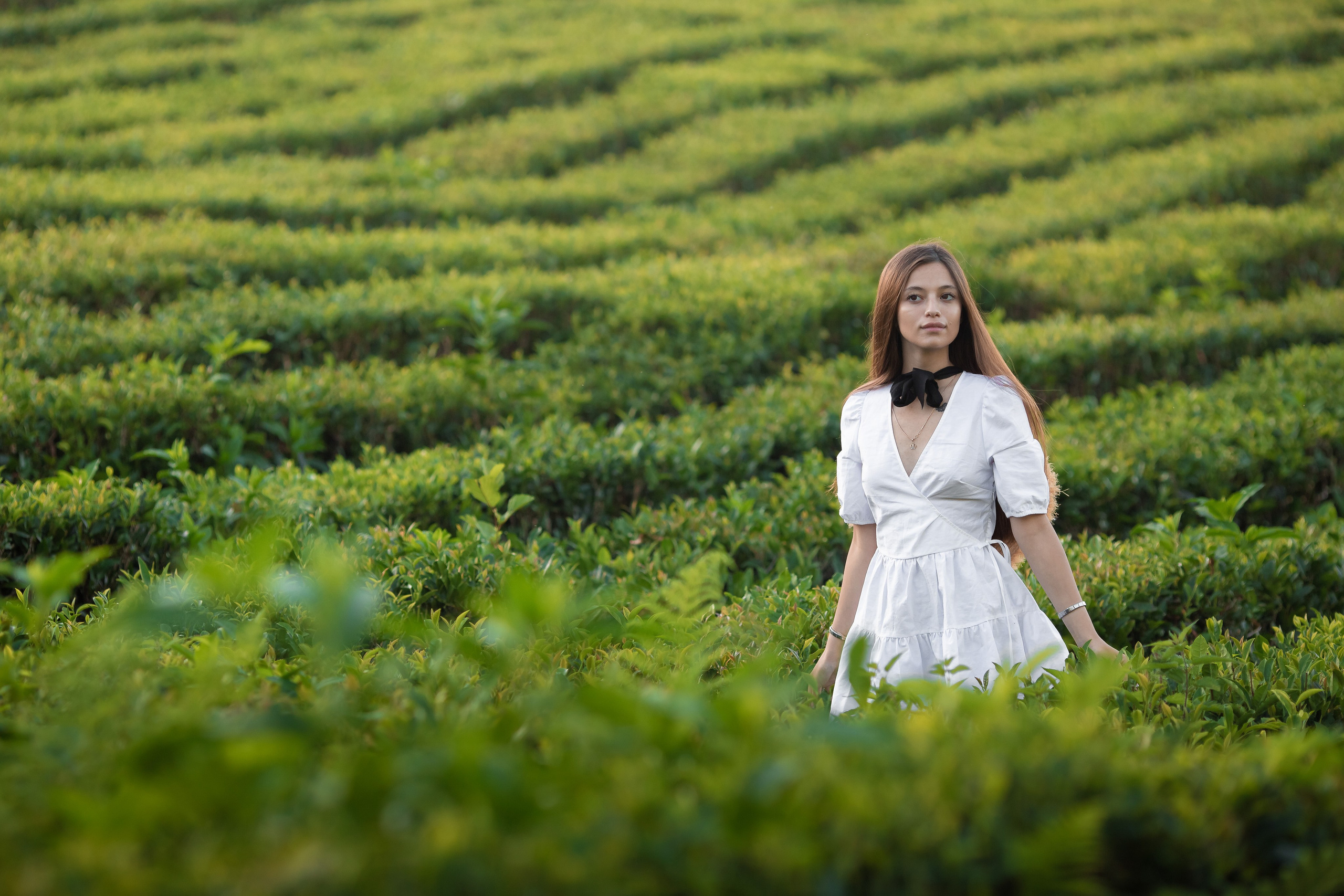 Чайная плантация. Сочи. Семейный и детский фотограф в Краснодарском крае Натали Фищенко