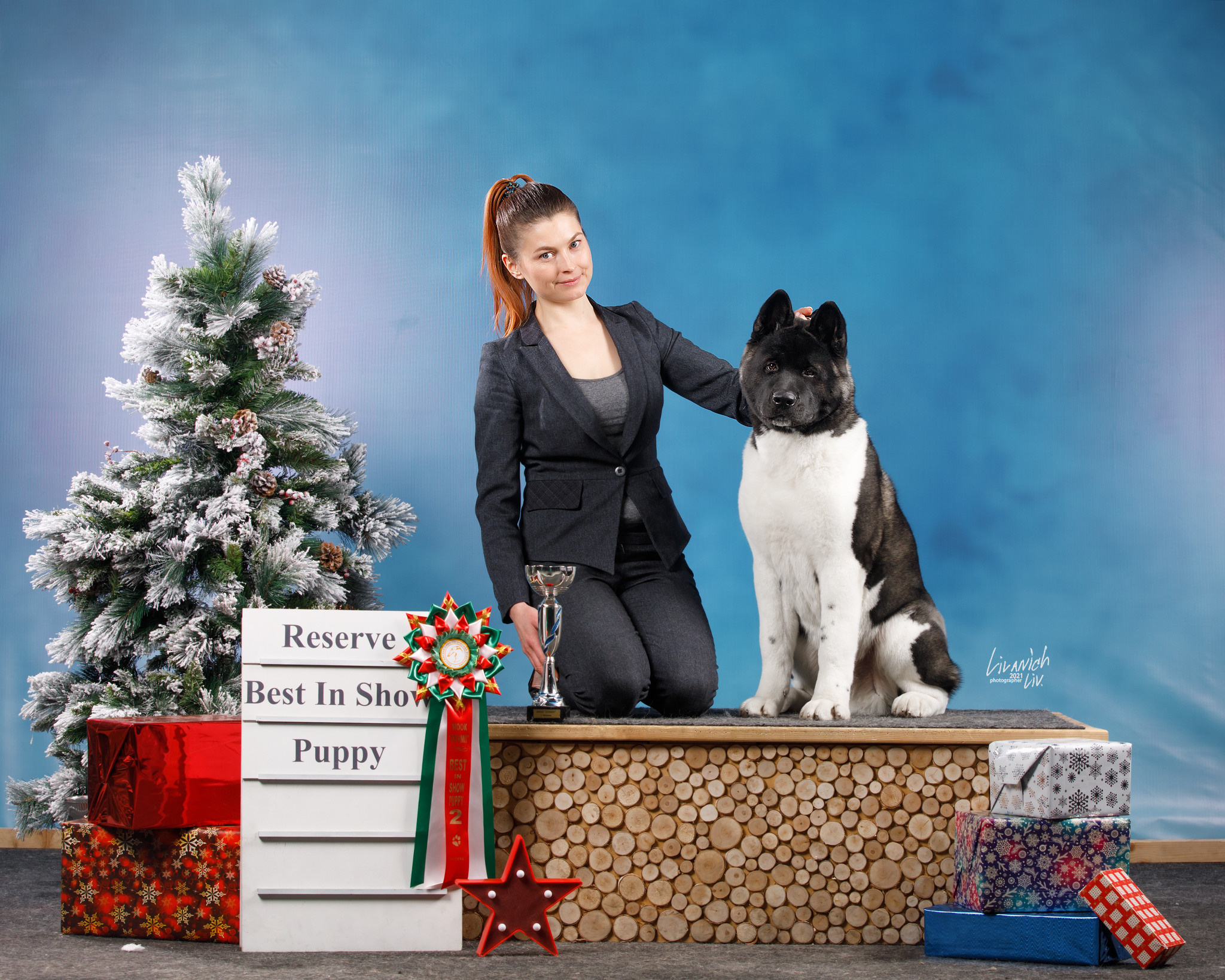 RUBYLIGHT King. AMERICAN AKITA RUBYLIGHT KENNEL I SHIBA-INU