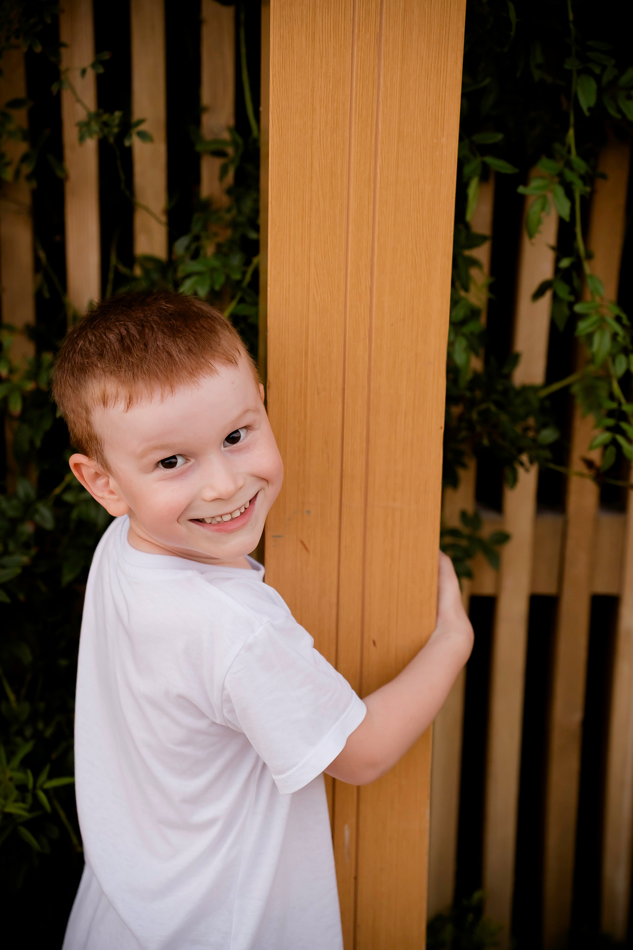 Солнечные лучики. Фотограф Ирина Ликсунова