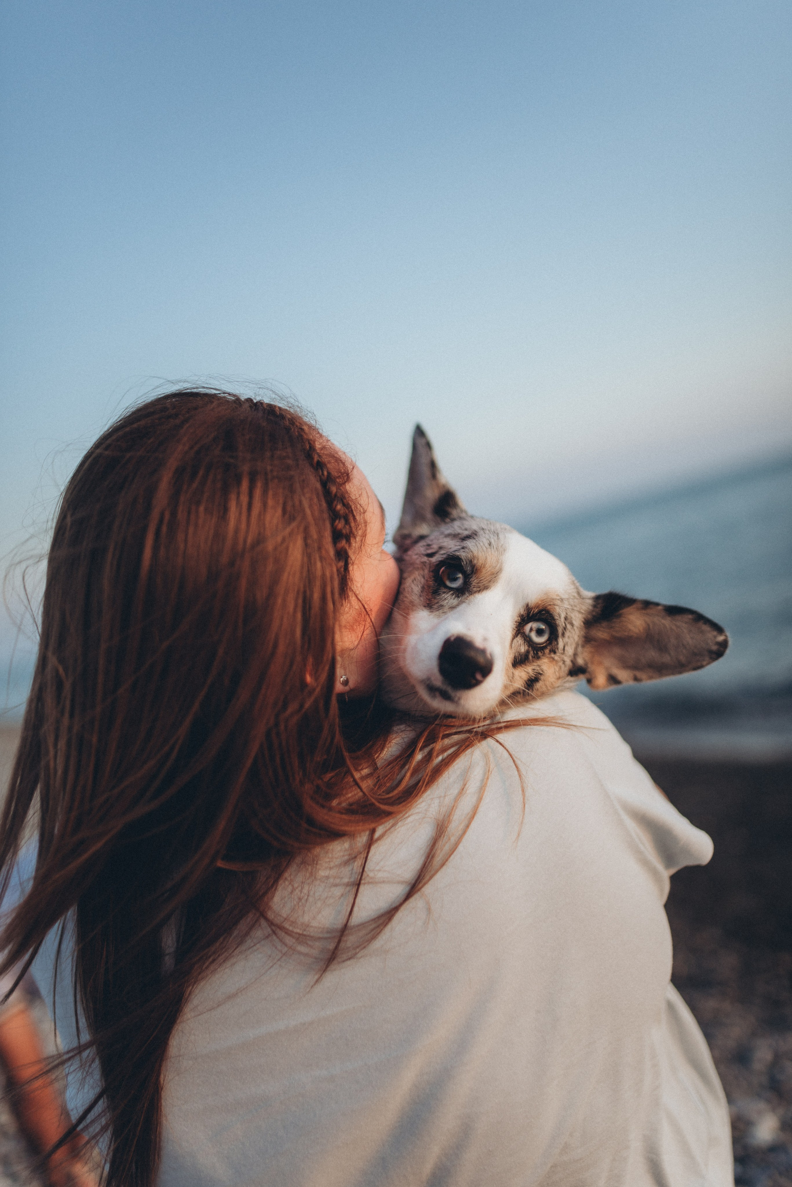 🐕 Катя и Дима 🐕. Фотограф в Сочи — Маргарита Поганова