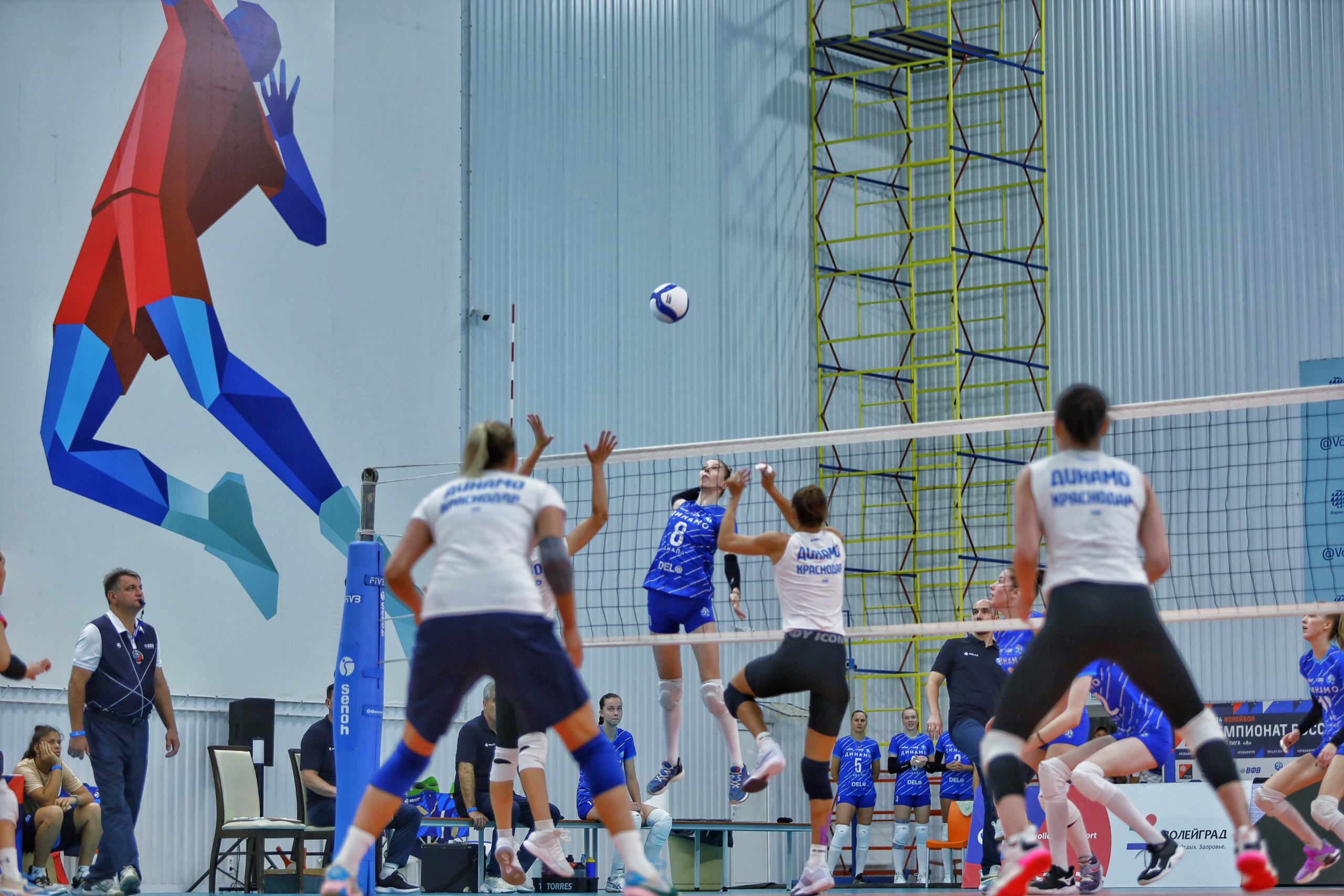 Волейбол ВФВ 07.08.24. Репортажный фотограф Анапа