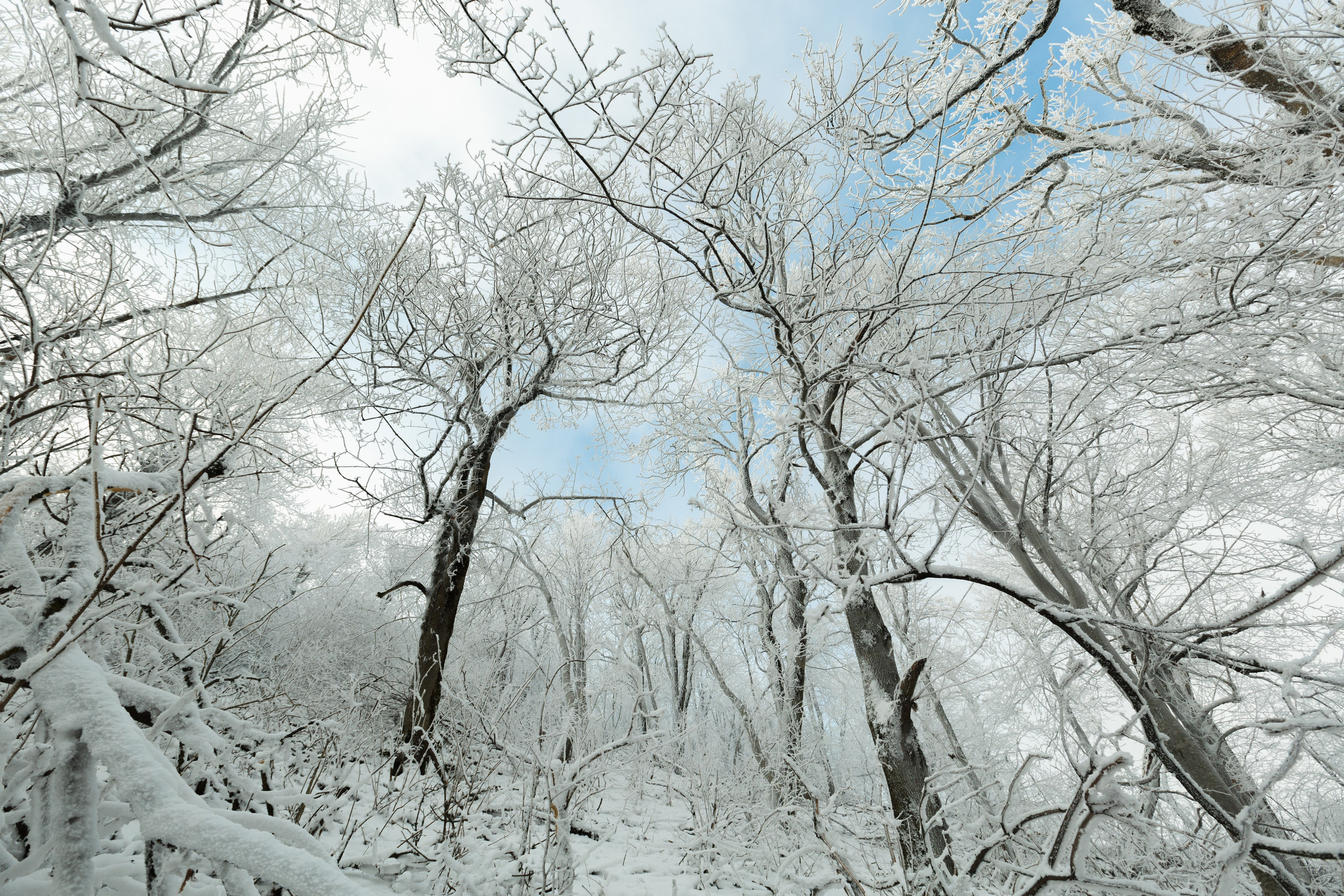 Пейзажный фотограф СПб, Санкт-Петербург и Москва