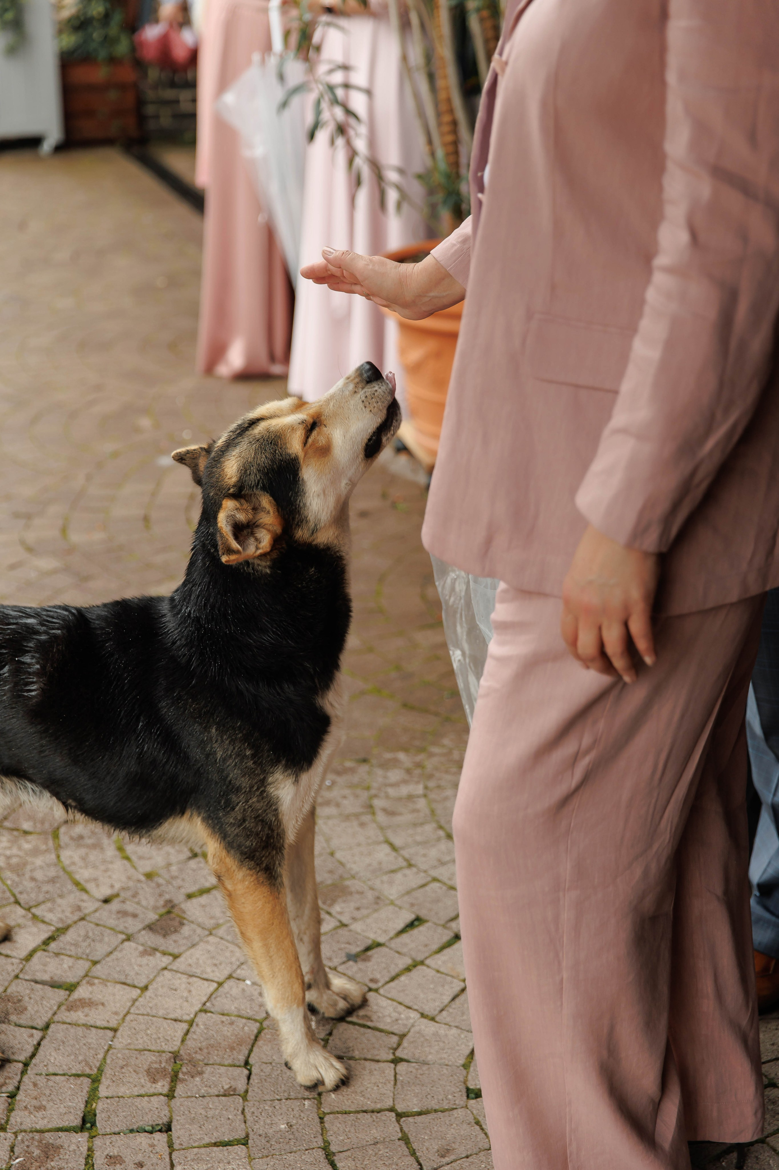 Елизавета и Максим. Свадебный фотограф Владлена Зарецкая