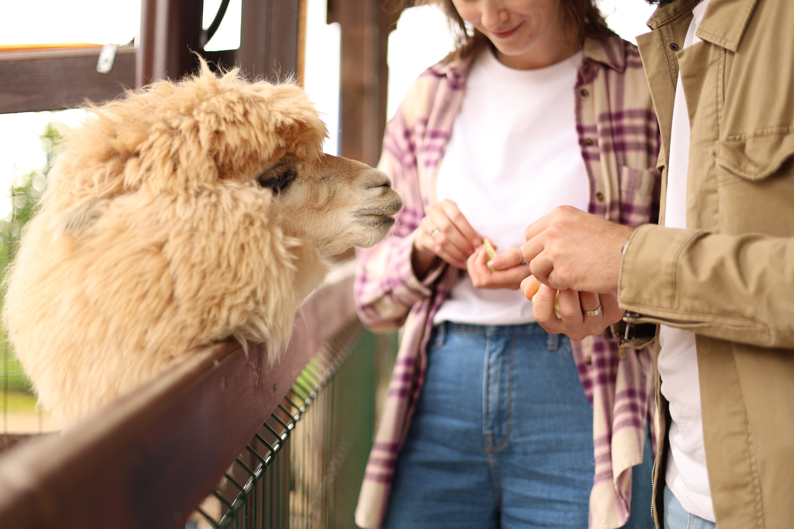 Маша & Вова. Фотограф Москва