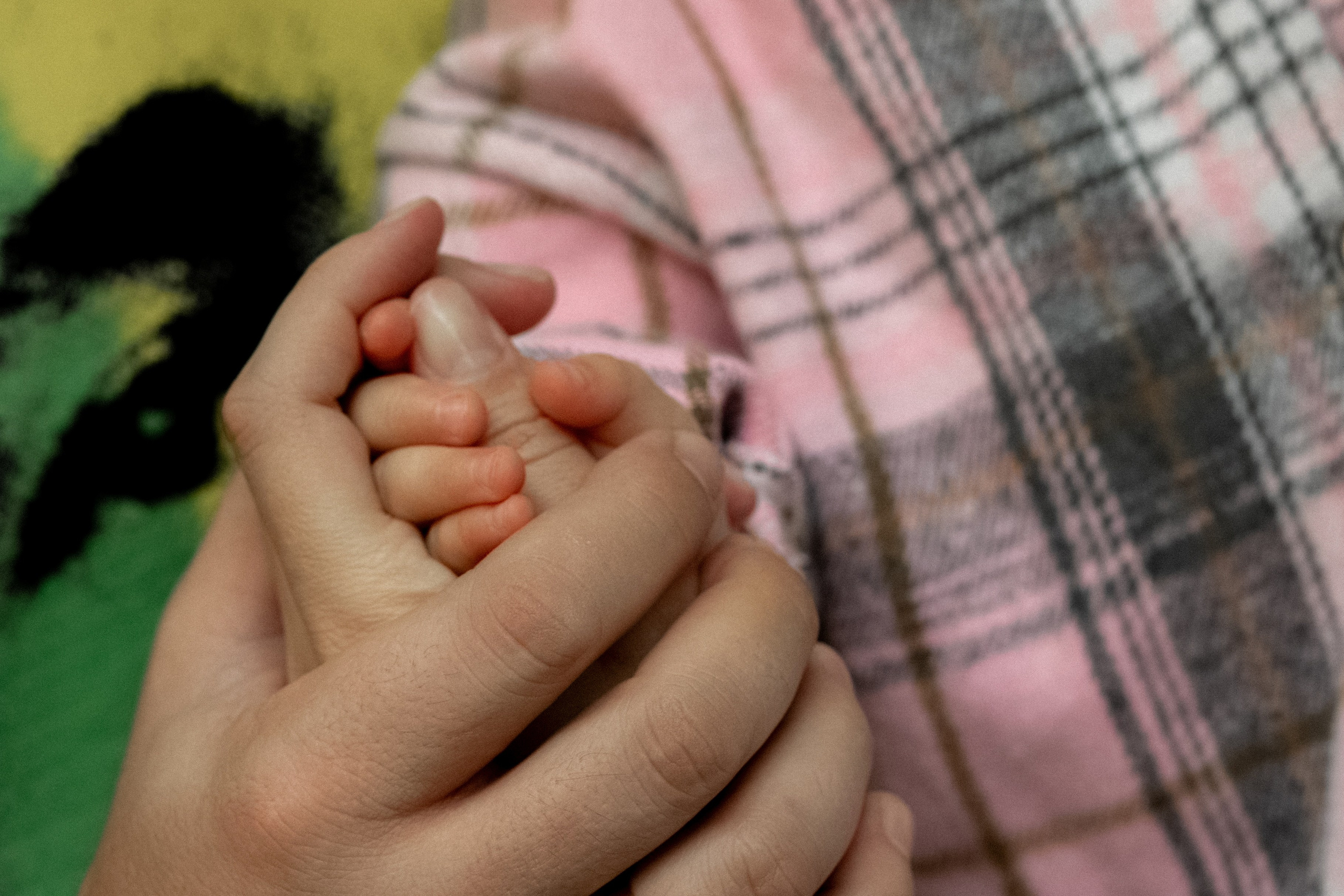 Максим, Алена, и Алиса. Фотограф Краснодар