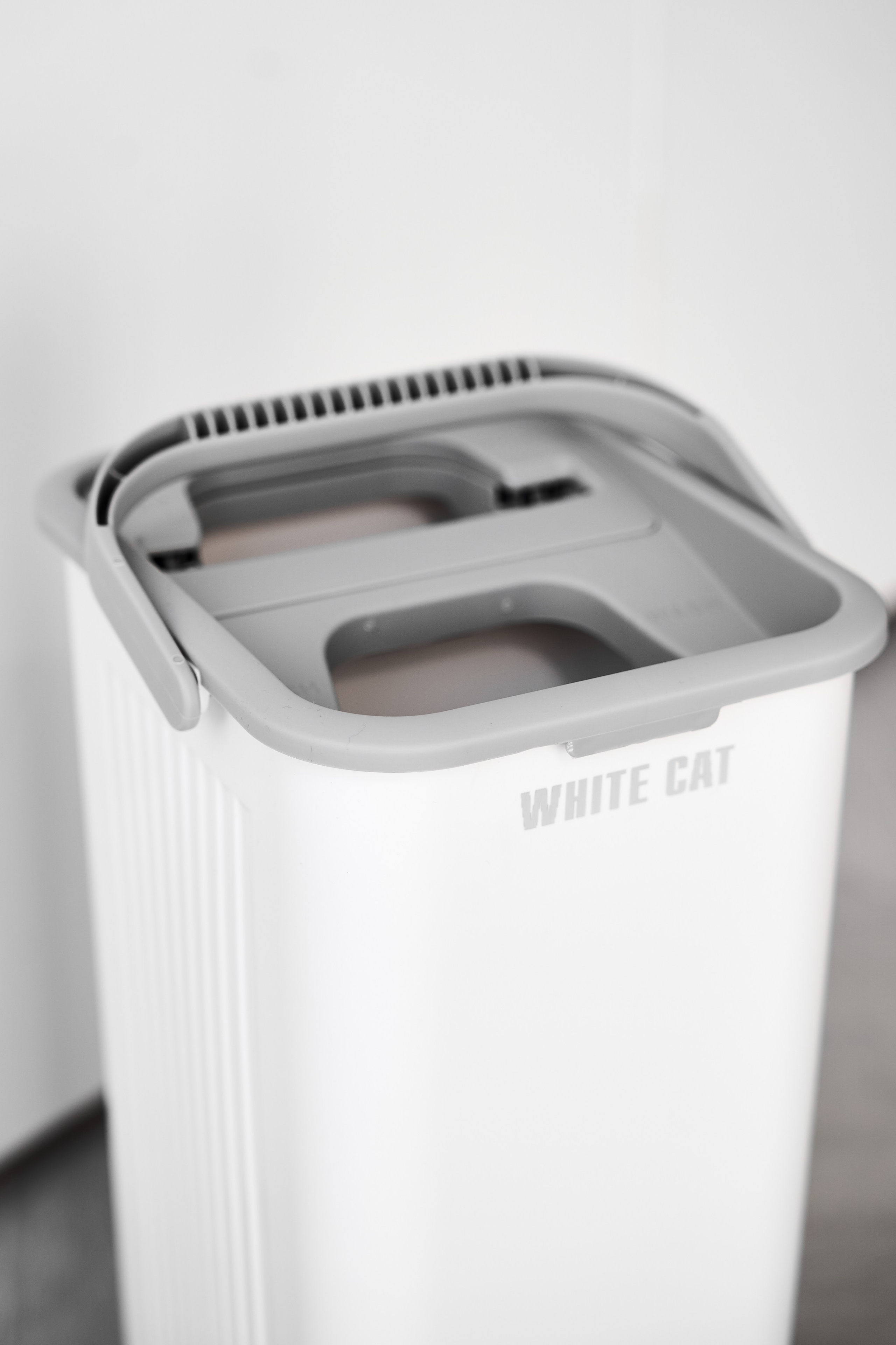 White cat. Фотограф в Москве Казакова Анна