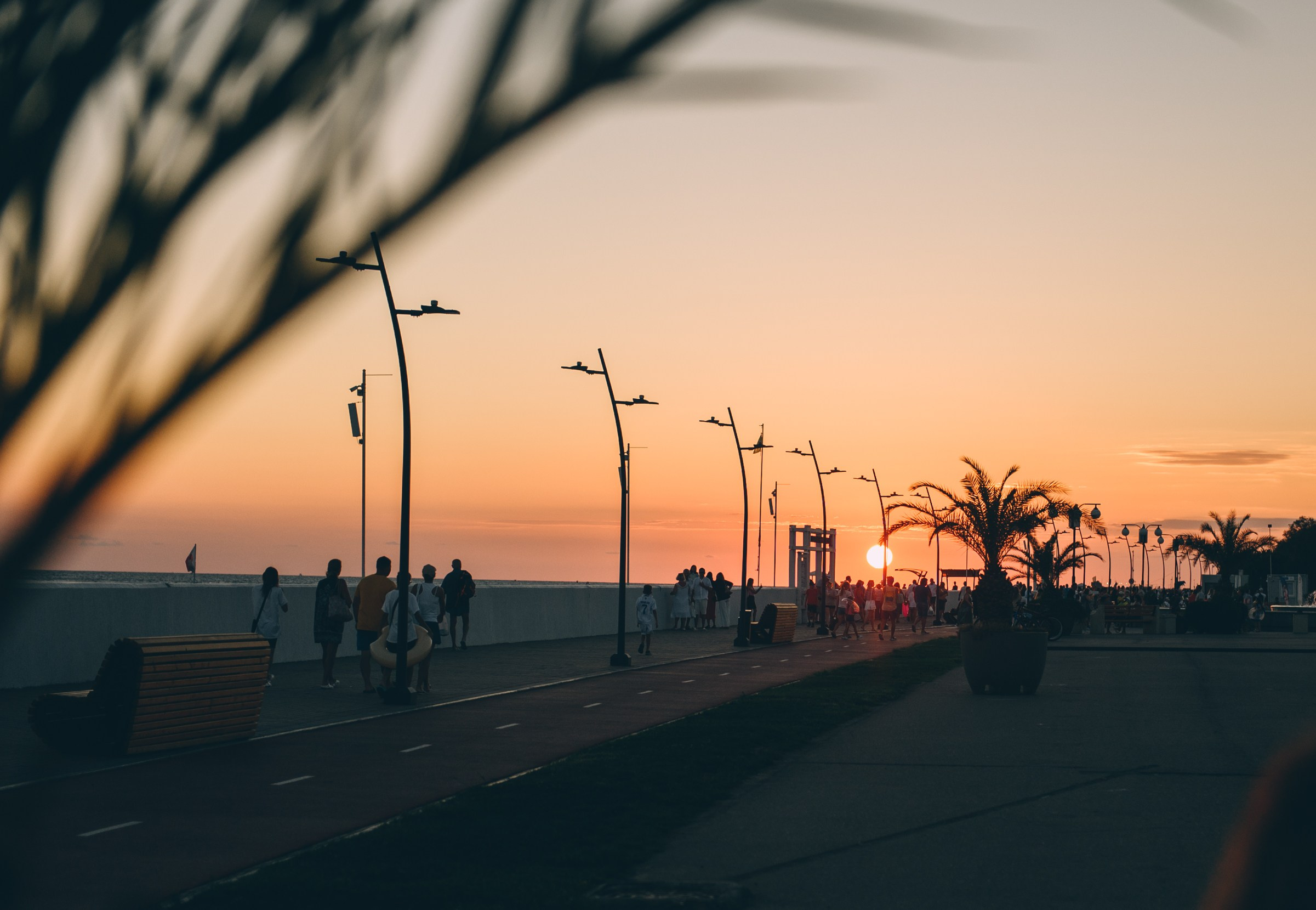 Моменты, эмоции, семья. Свадебный и семейный фотограф София Невская