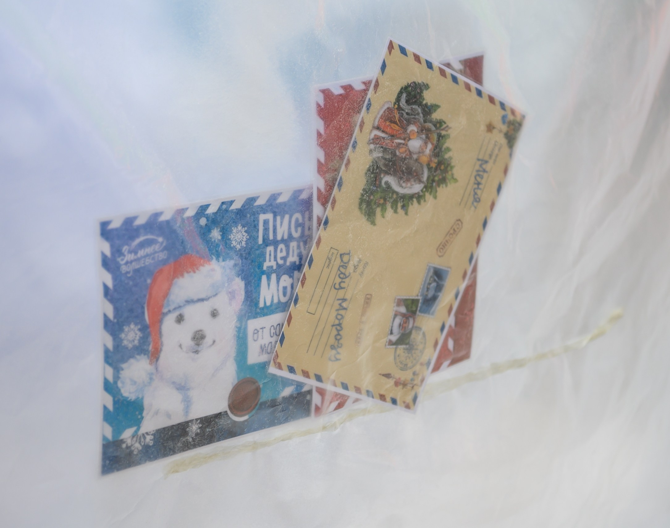 Старый Новый год сказка-спектакль. Свадебный и семейный фотограф София Невская