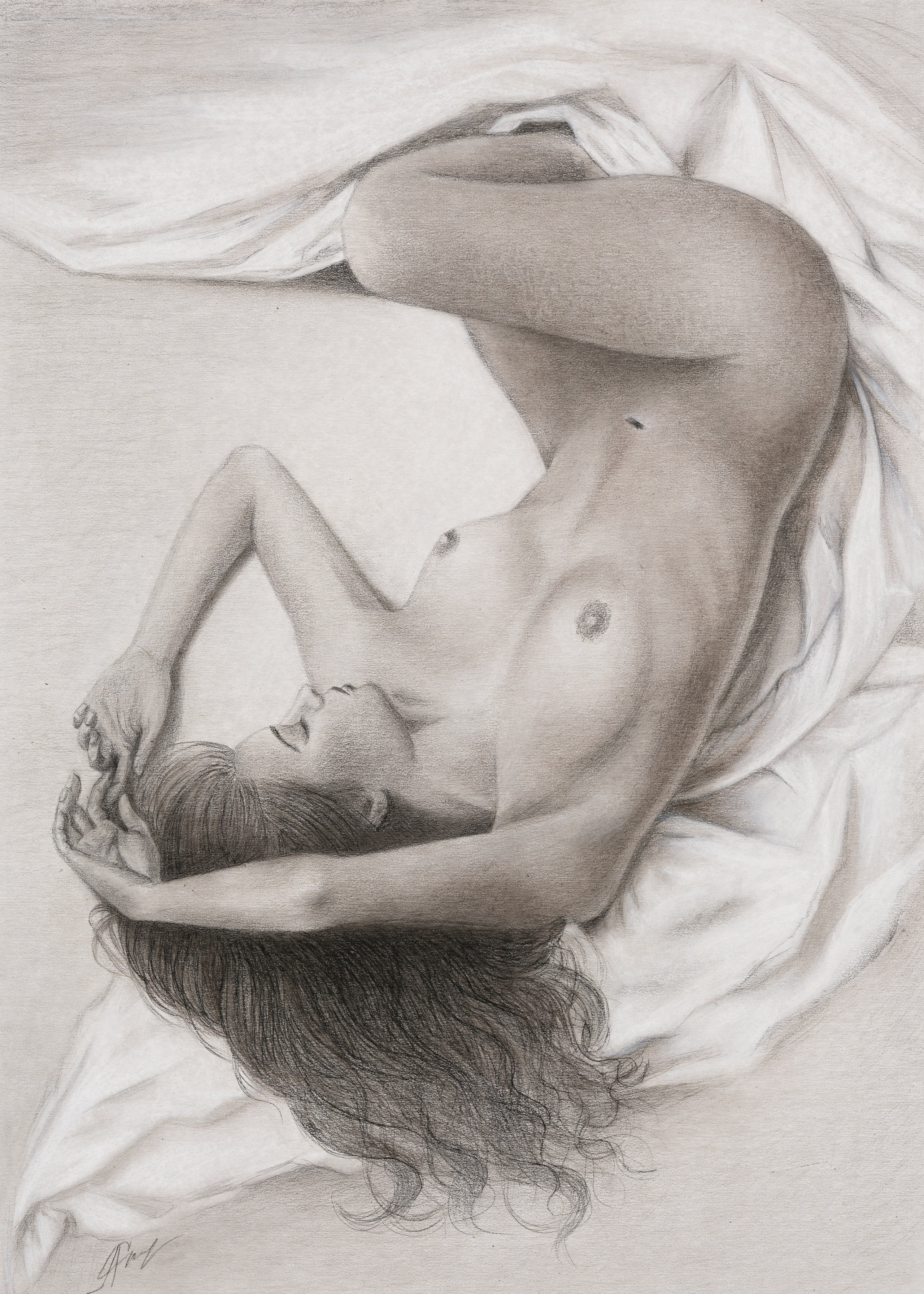 «Нежное утро» -&nbsp;художник Алла Спирина (картон, уголь 70x50 см, 2025)