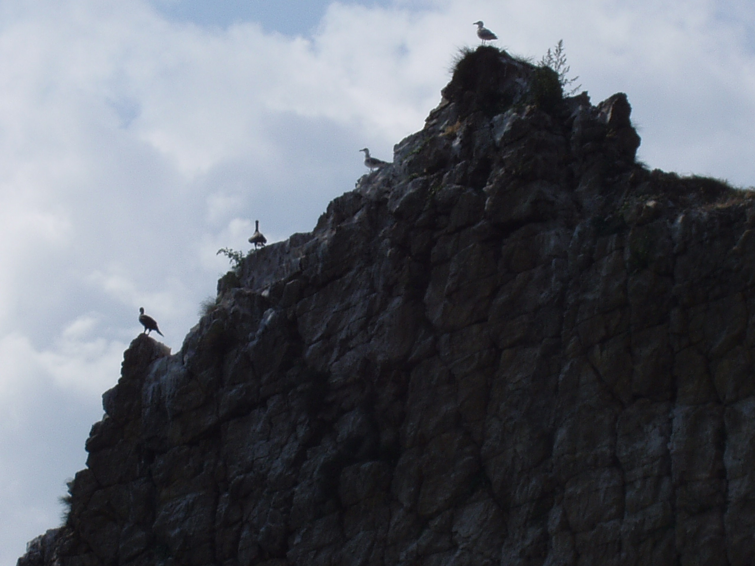 Отпуск 13.07-24.08. Семейный, Свадебный фотограф СПБ Питер— Романова Екатерина