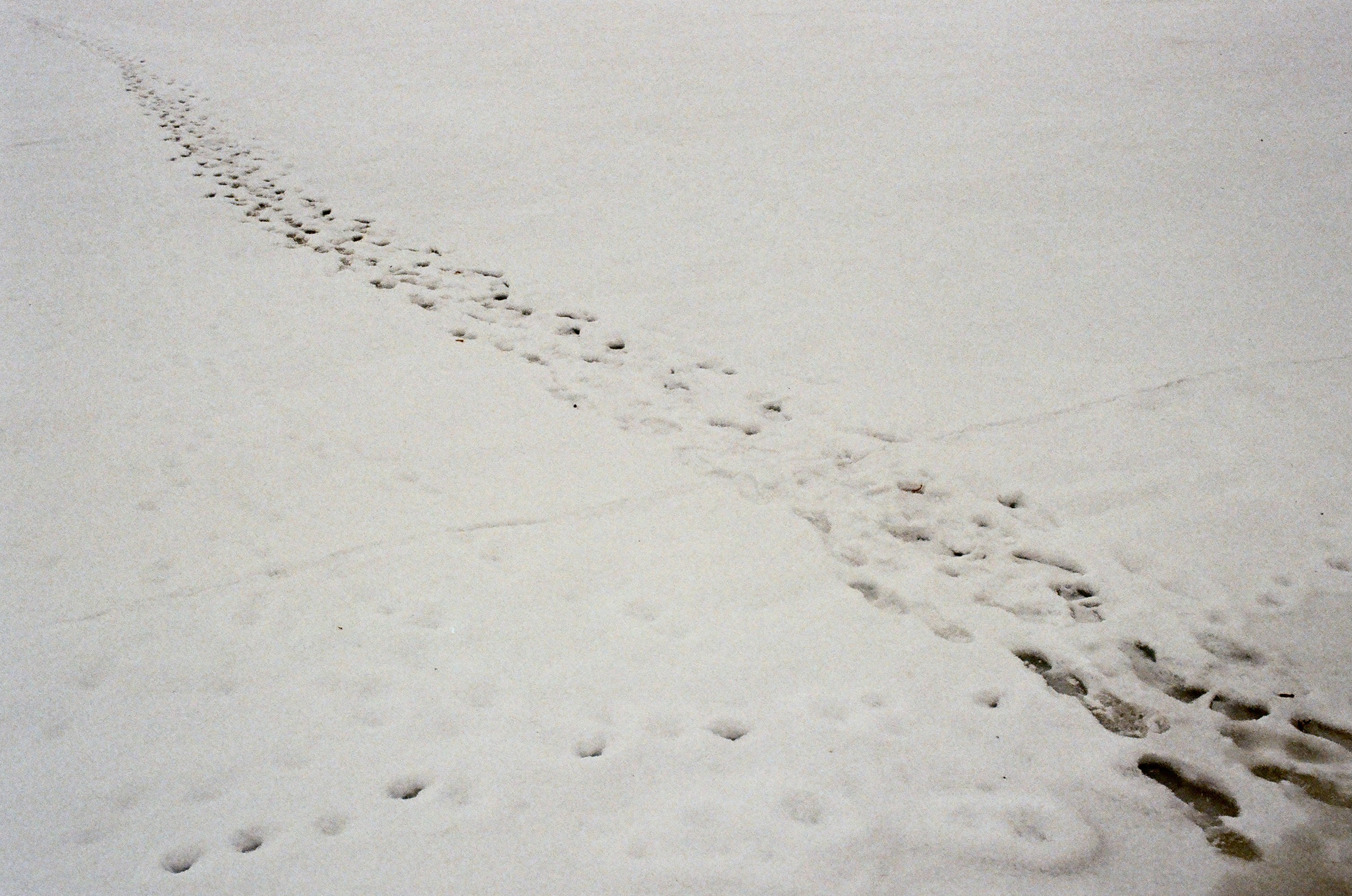 Film. Ruslan UI Dev Page