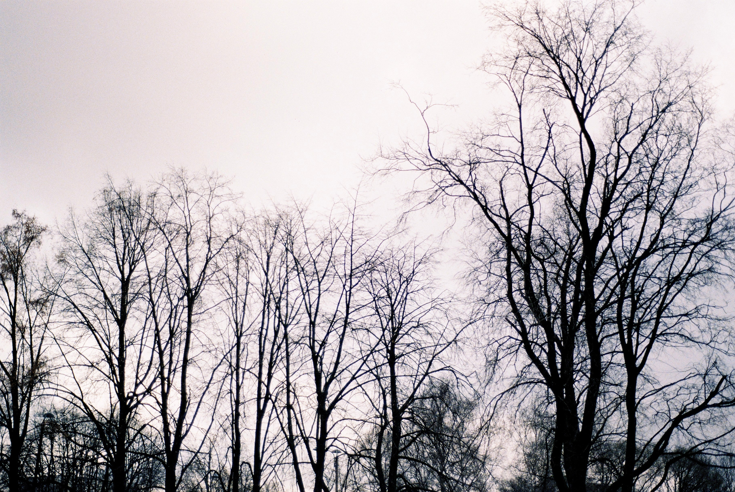 Film. Ruslan UI Dev Page