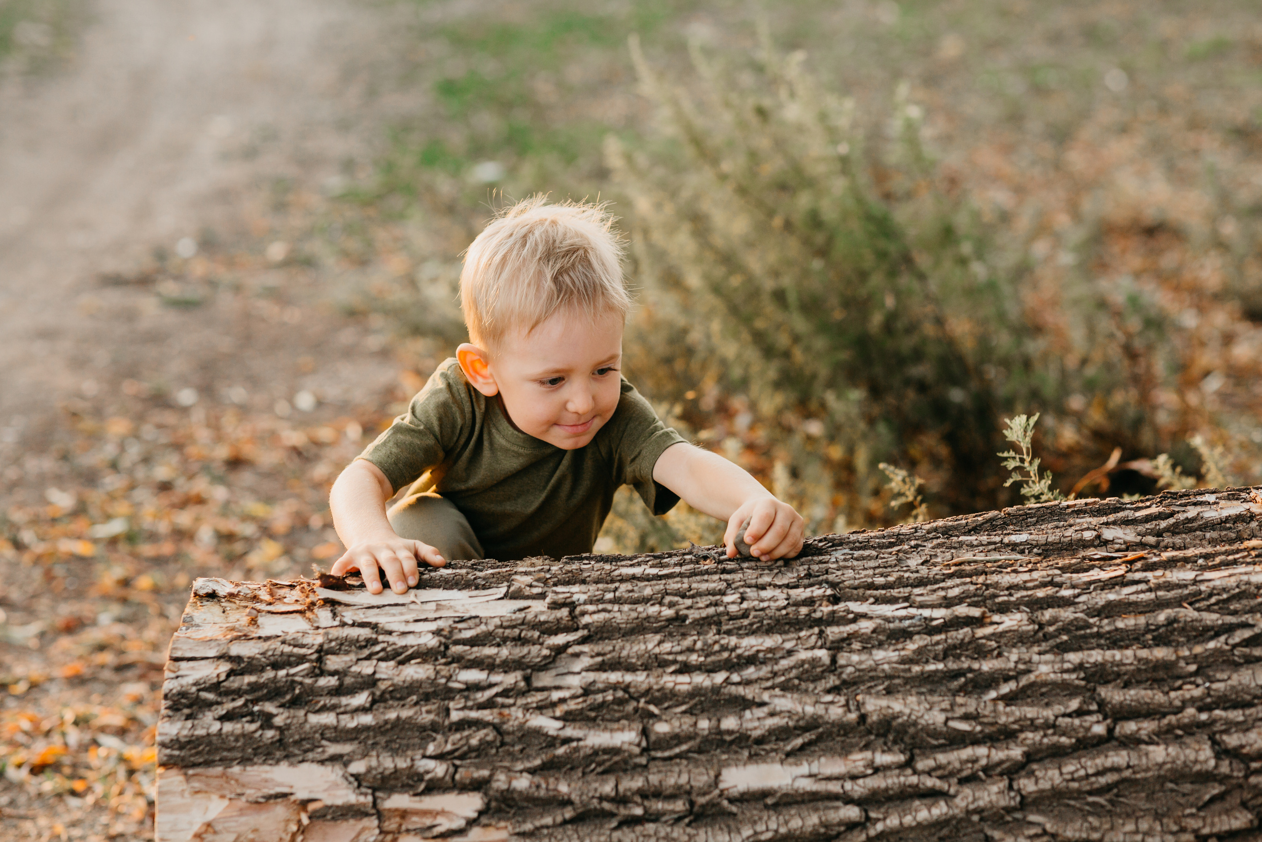 Семейная история Алексея и Елены. Основная