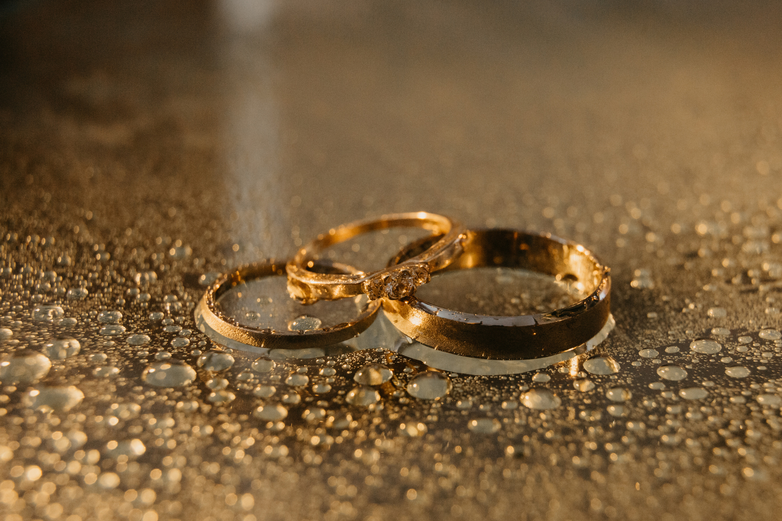 Свадьба: Сергей и Ксения. Основная